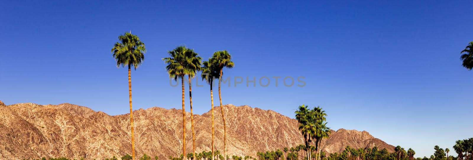 san jacinto mountain, palm springs, california by photogolfer