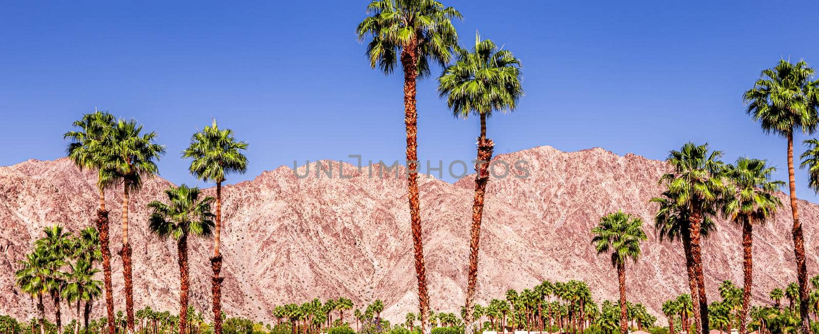 san jacinto mountain, palm springs, california