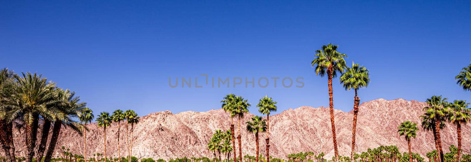 san jacinto mountain, palm springs, california