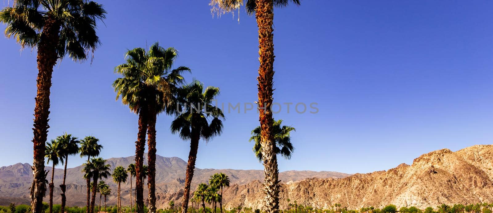 san jacinto mountain, palm springs, california