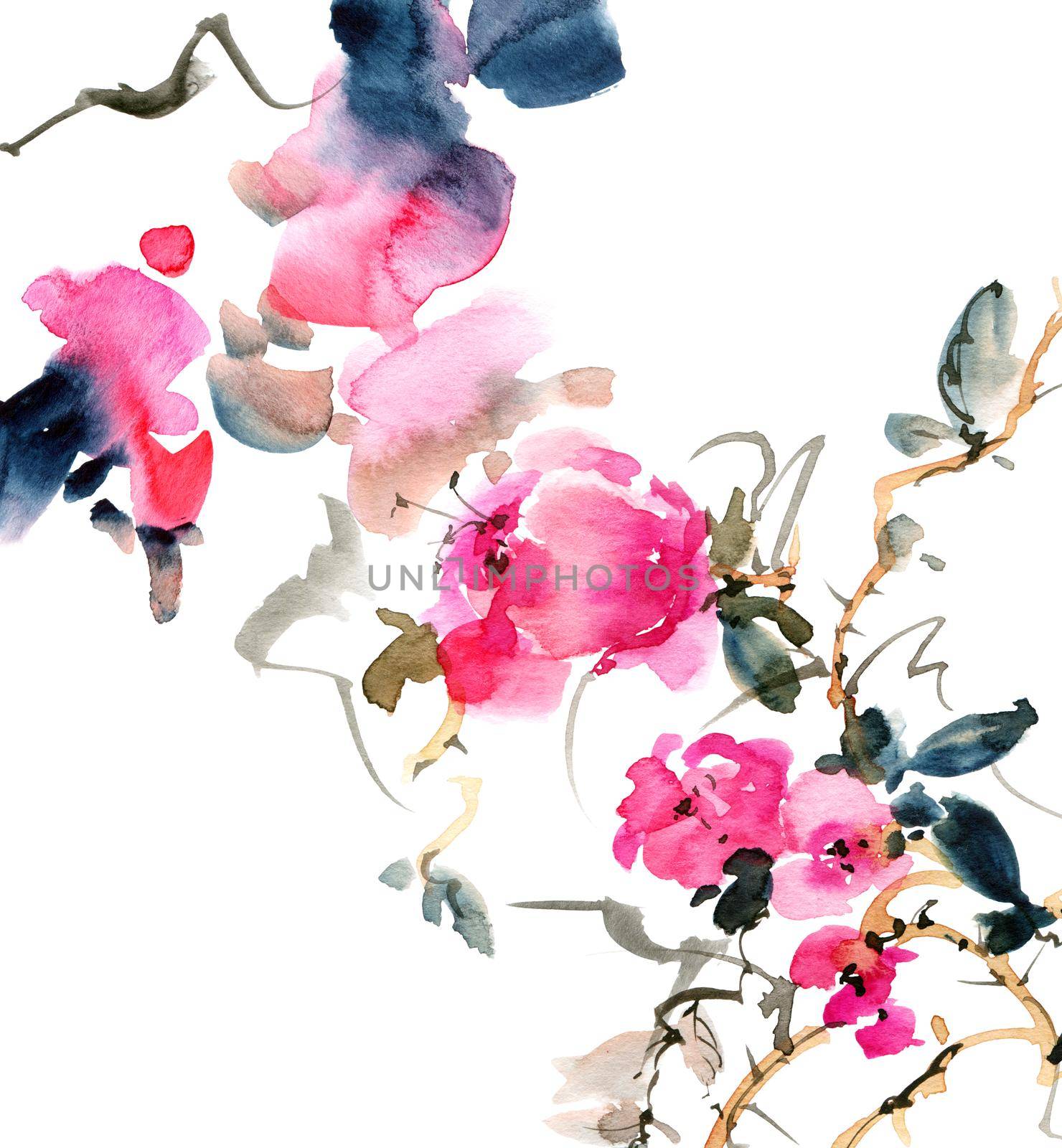 Watercolor and ink illustration of flowers - blossom plant with pink flowers and buds. Sumi-e art.