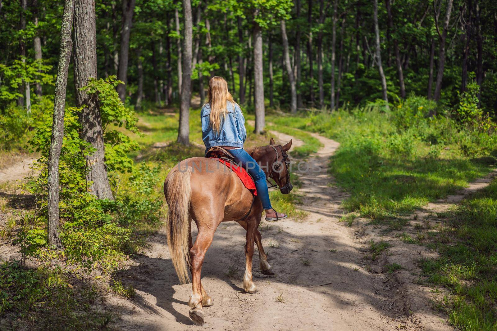 Beautifulwoman riding a horse in countryside.