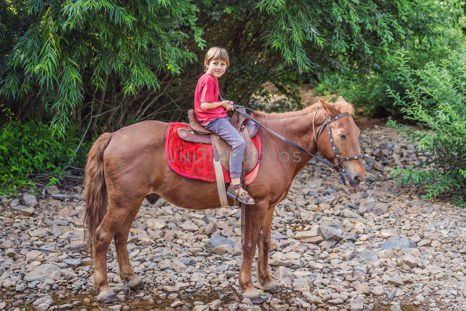 Boy rides a horse in the forest by galitskaya