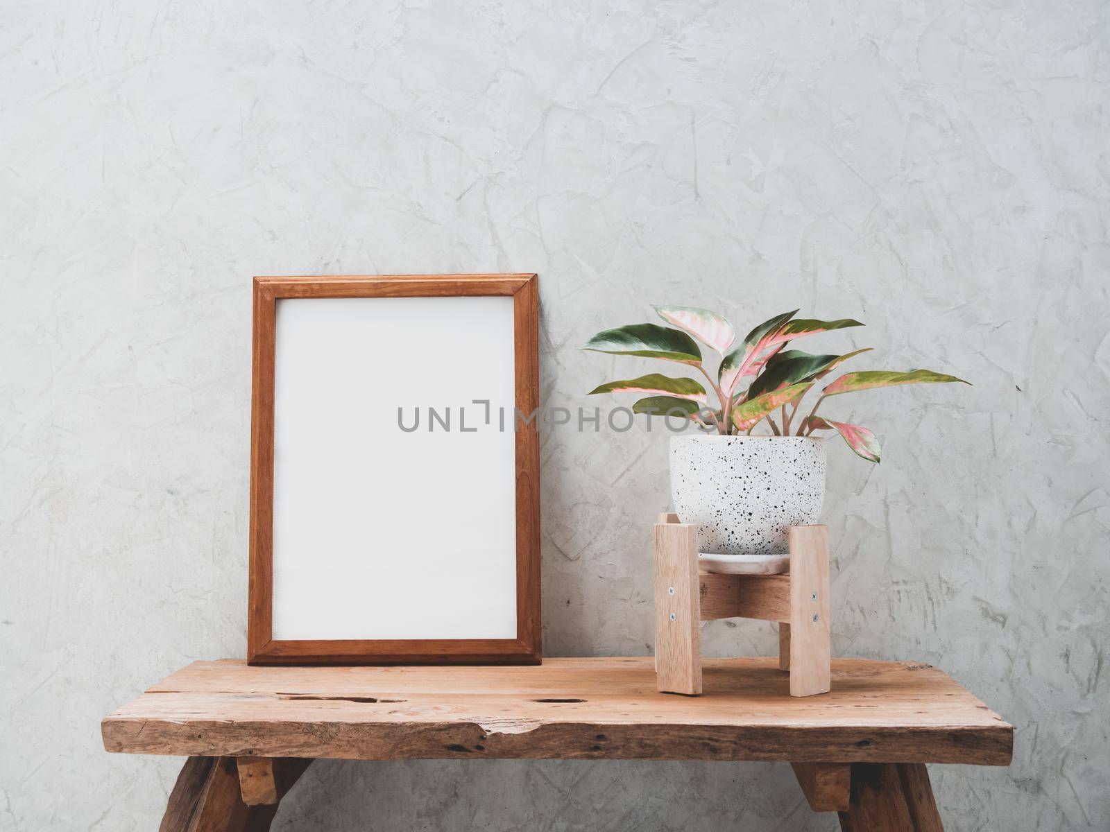 Teak wood frame mock up and Aglaonema houseplant(Chinese Evergreen) in modern white and black  ceramic container  on teak wood table with cement wall background with copy space for products