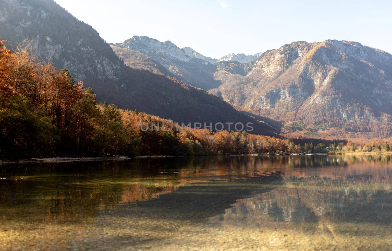 Bohinj beautiful Alpine lake view autumn in mountains by Chechotkin