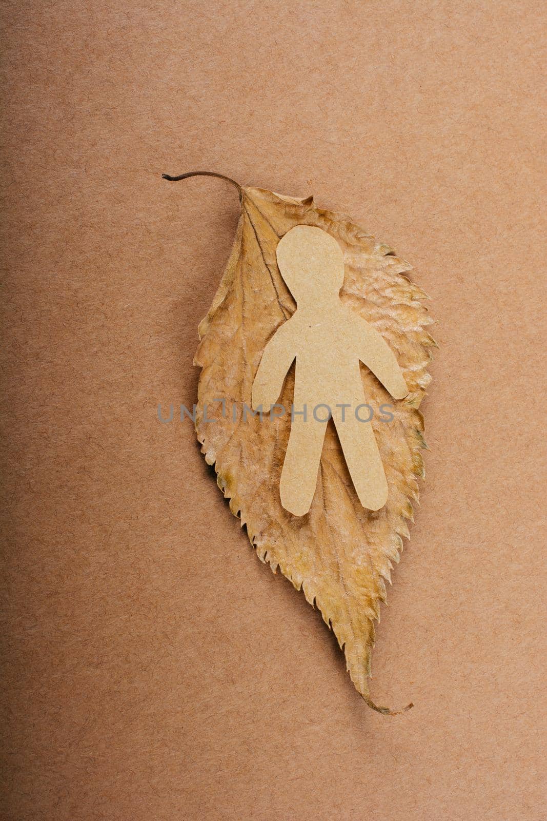 Paper man shape placed  on a dry leaf in view