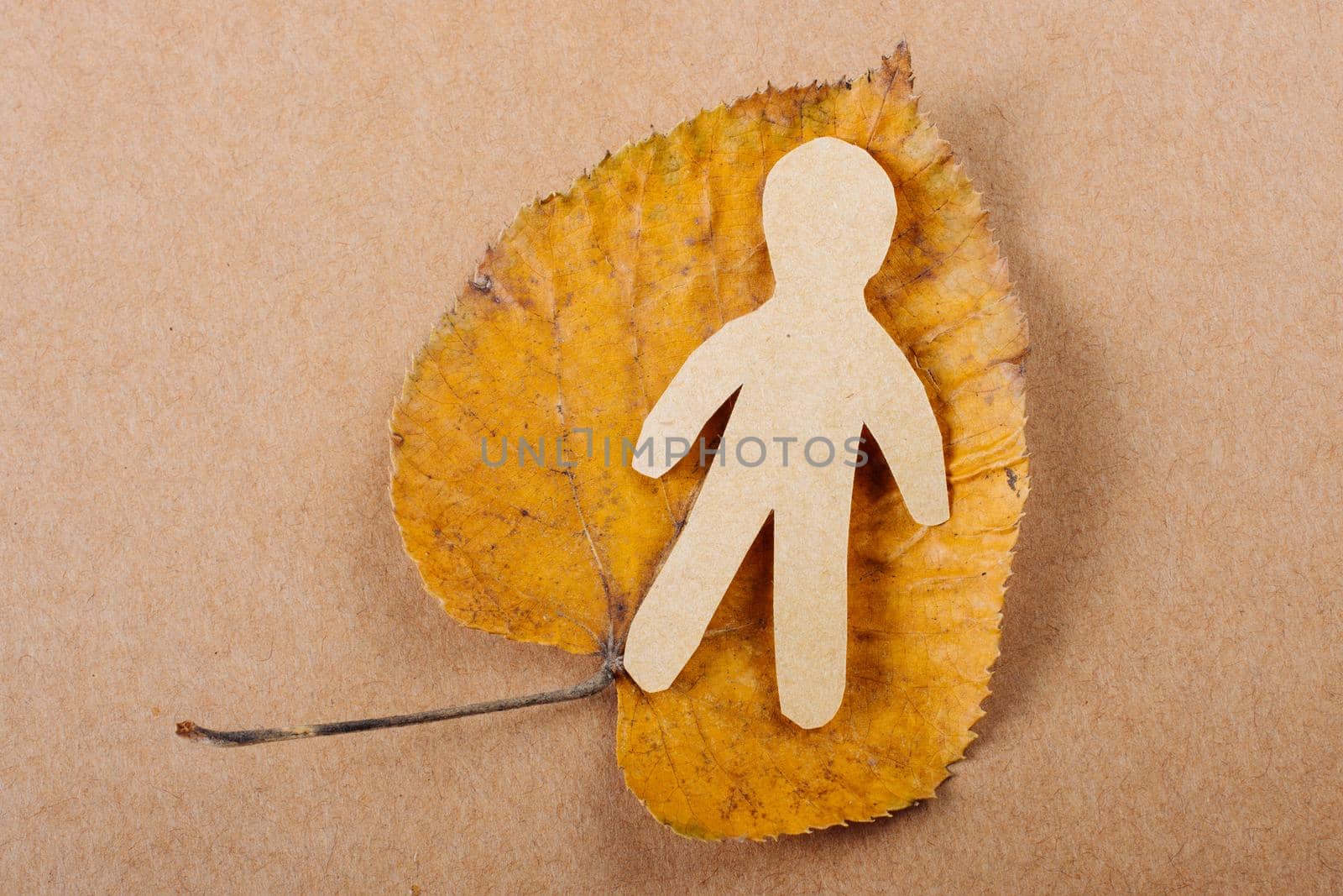 Paper man shape placed  on a dry leaf in view