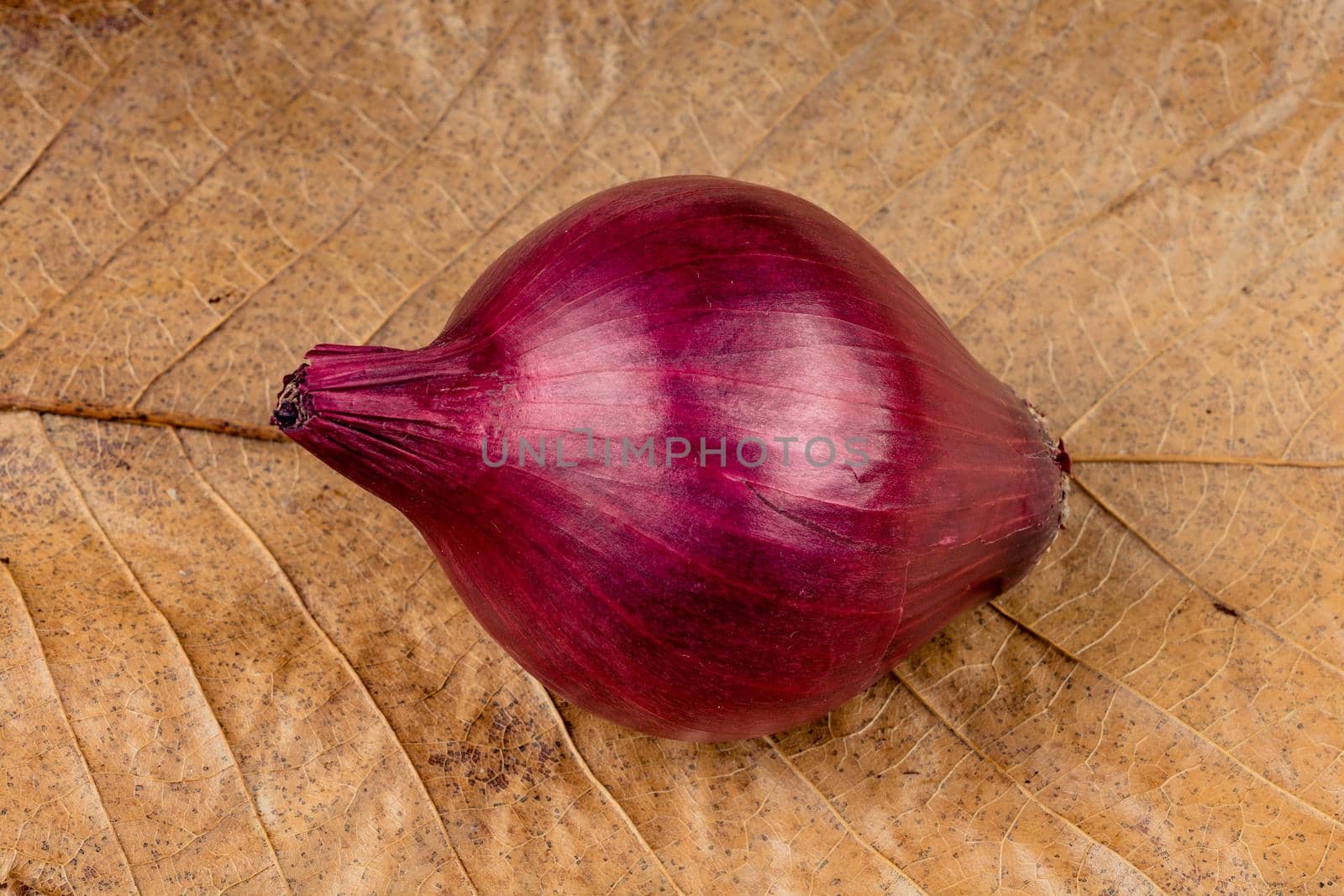 Whole red onion placed bulb  on linen canvas