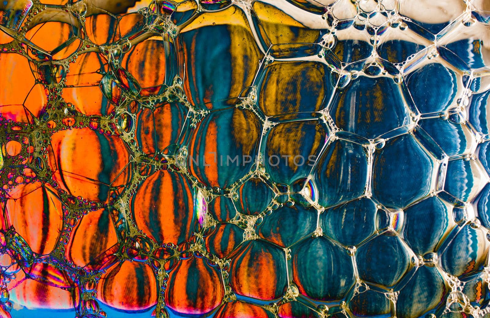 Macro shot of water oil emulsion over colored background by berkay