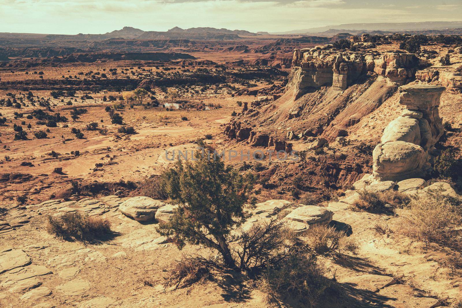 Raw Scenic Utah Rocky Landscape. Colourful Rock Formations. Nature Theme.