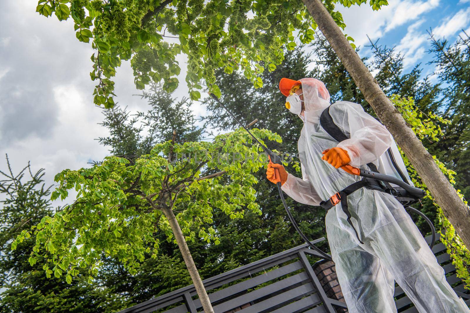 Garden Worker Spraying Backyard Trees and Plants by welcomia