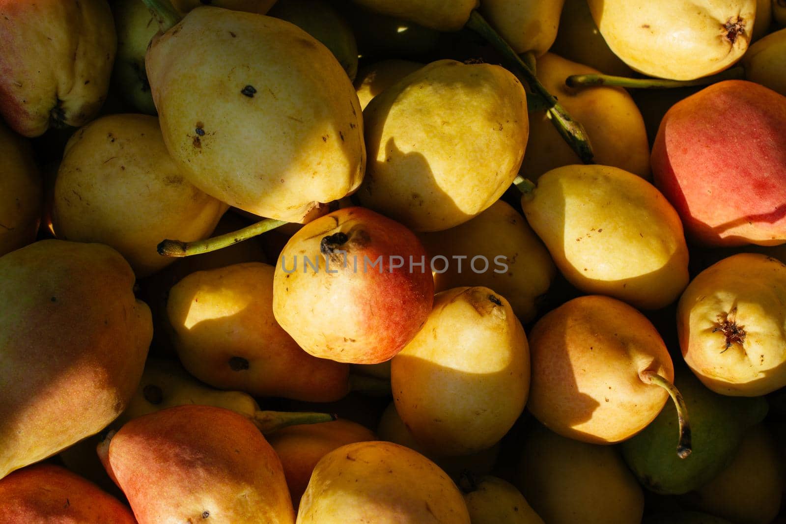 Pears in a Turkish street bazaar in view