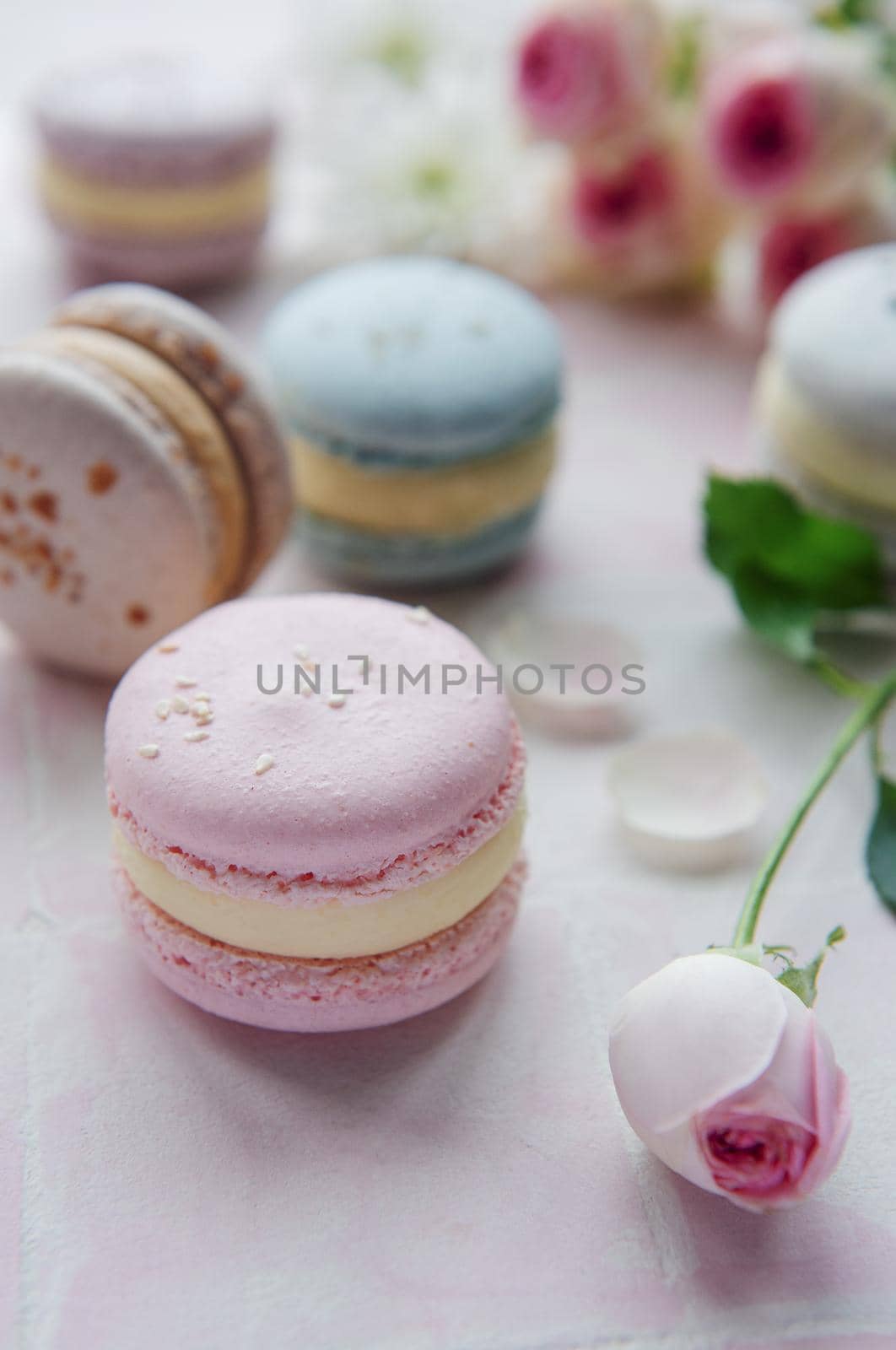 Beautiful colorful tasty macaroons and pink roses on a pink tile background