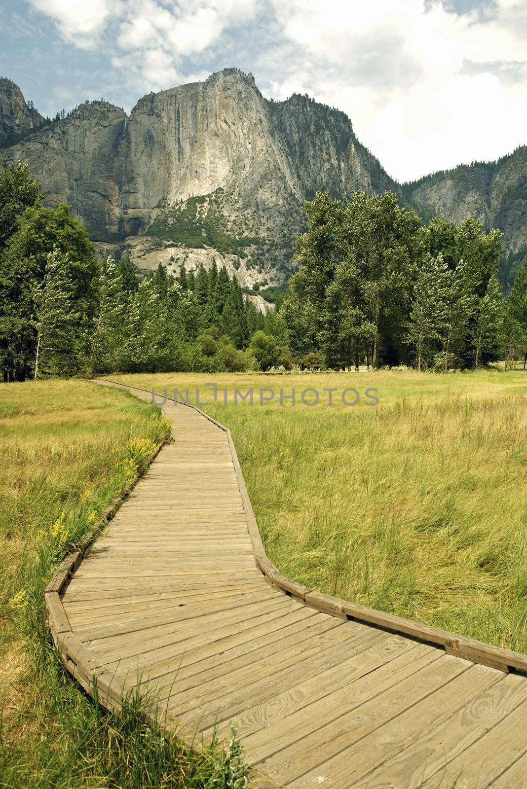Wooden Pathway in Yosemite National Park, California, USA. Yosemite Landscape.