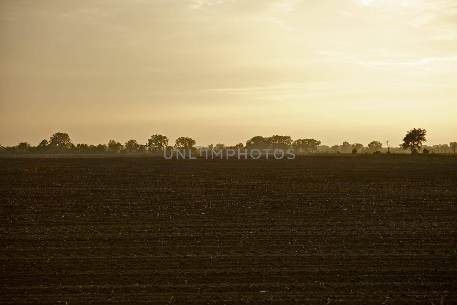 Illinois Farmlands. American Midwest Agriculture Photo Collection. Illinois State, USA. by welcomia
