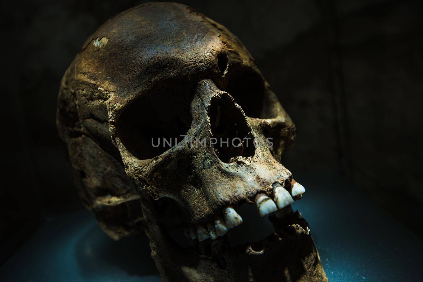 Ancient Human Skull in Dark Place Closeup Photo. 