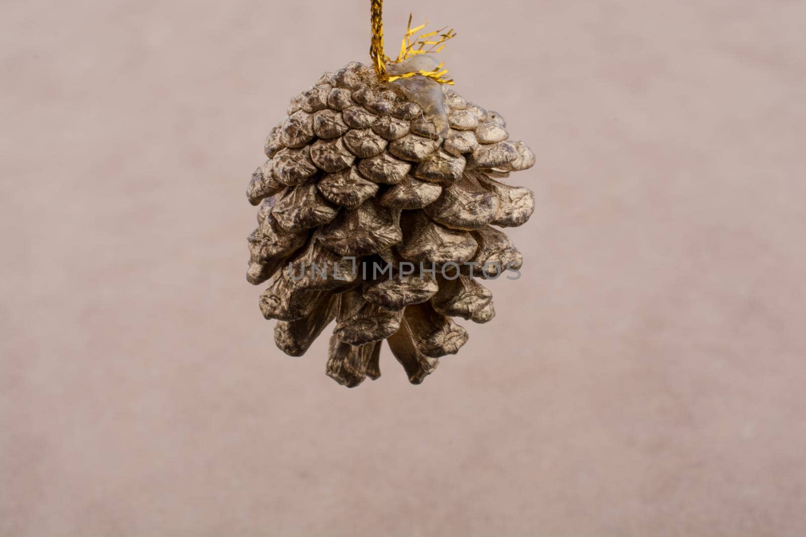 Pine cones on a canvas background by berkay