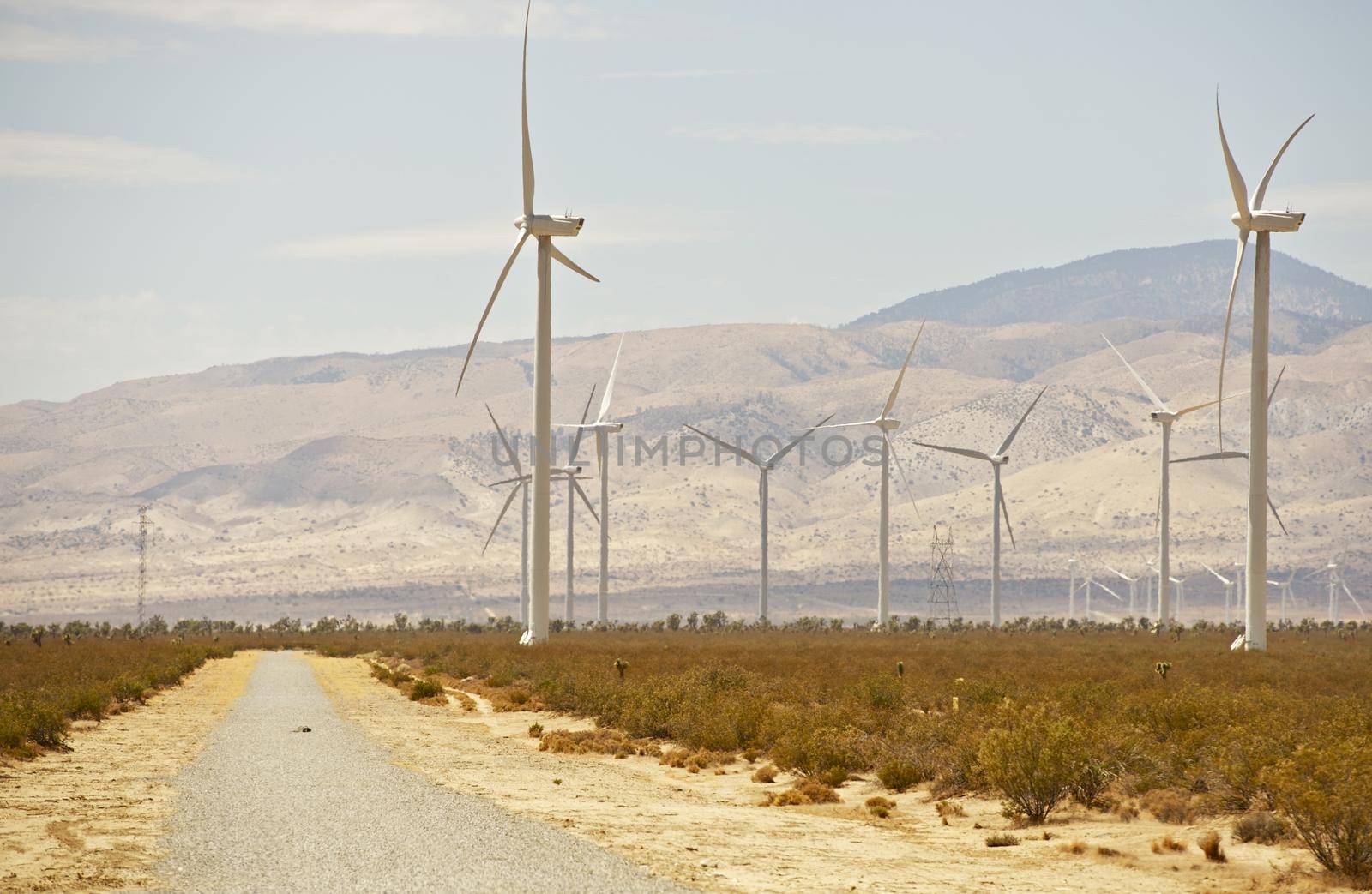 Mojave Desert Road Between Wind Turbines. Mojave California, USA by welcomia