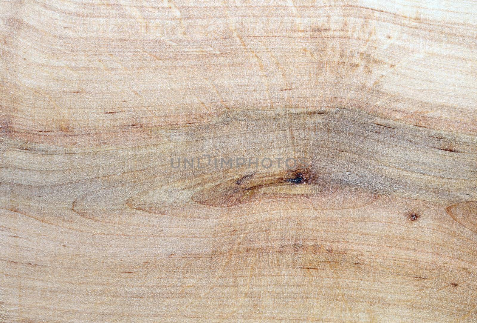 Knotted Wood Texture. Real Knotted Wood Board Photo Background