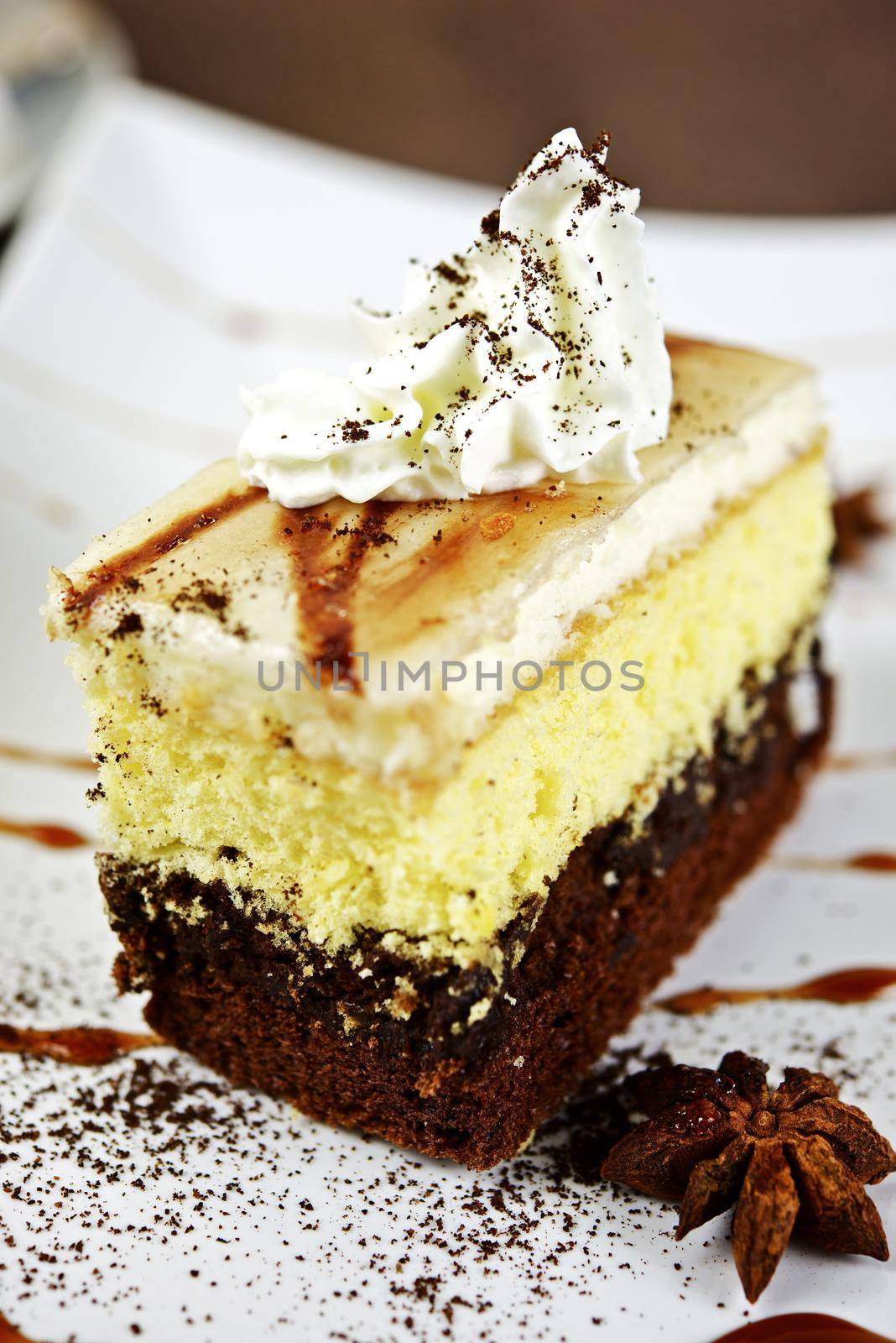 Cake Piece with Cream on Top. Delicious Cake Vertical Closeup Photography. Food Photo Collection.