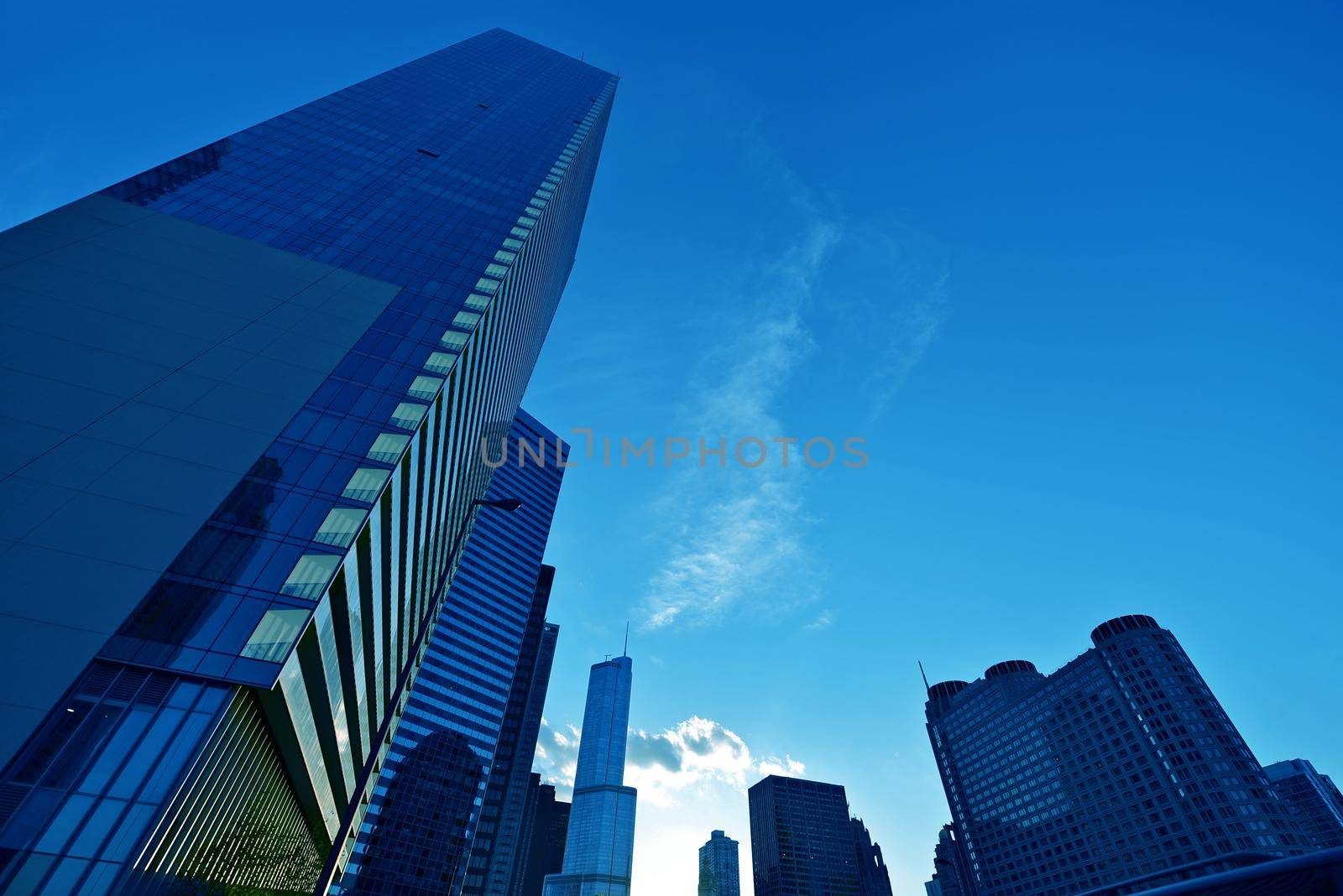 Chicago Cityscape - Skyline in Blue. Chicago, Illinois, USA. Architecture Collection. by welcomia