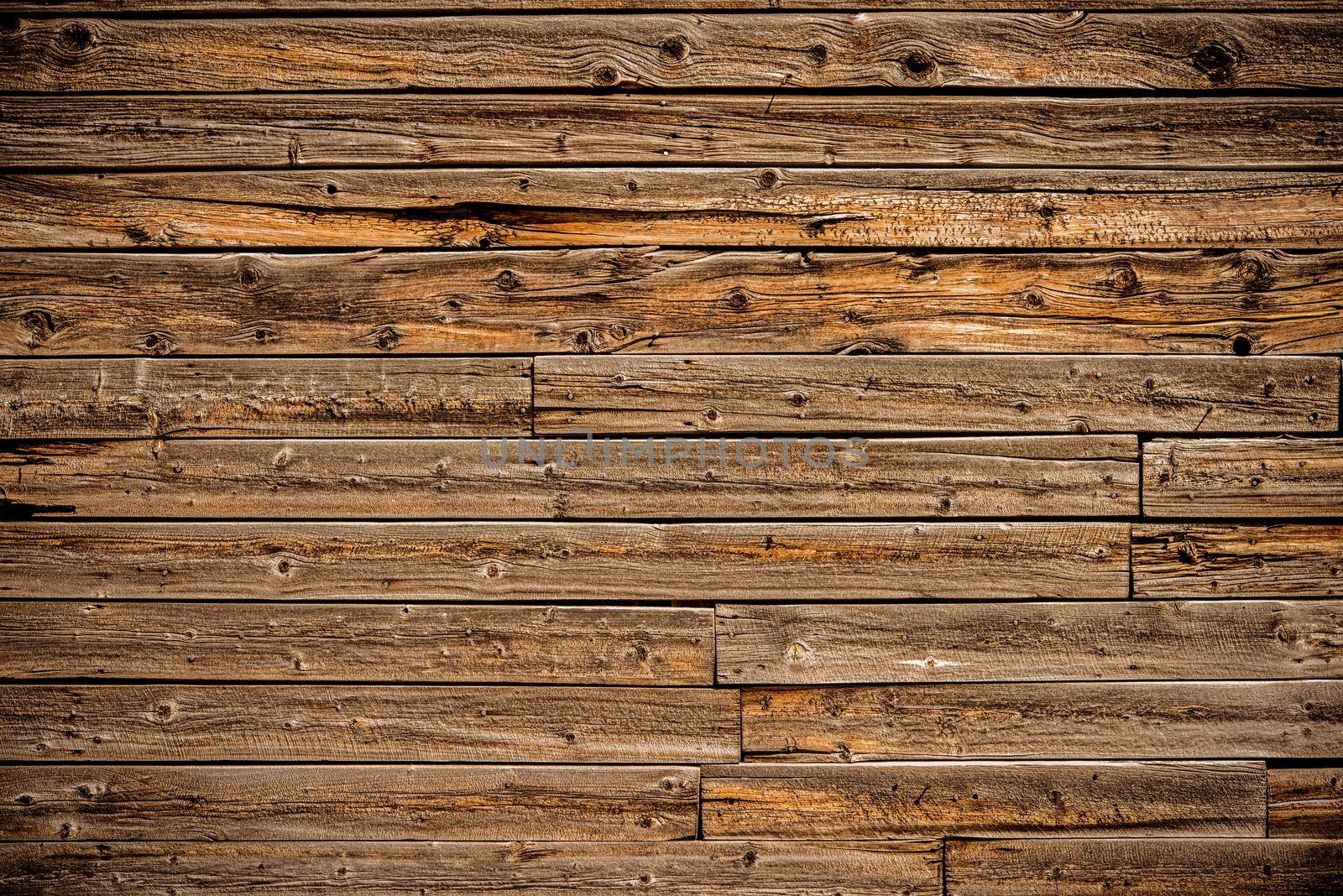 Planks Background. Wooden Photo Backdrop