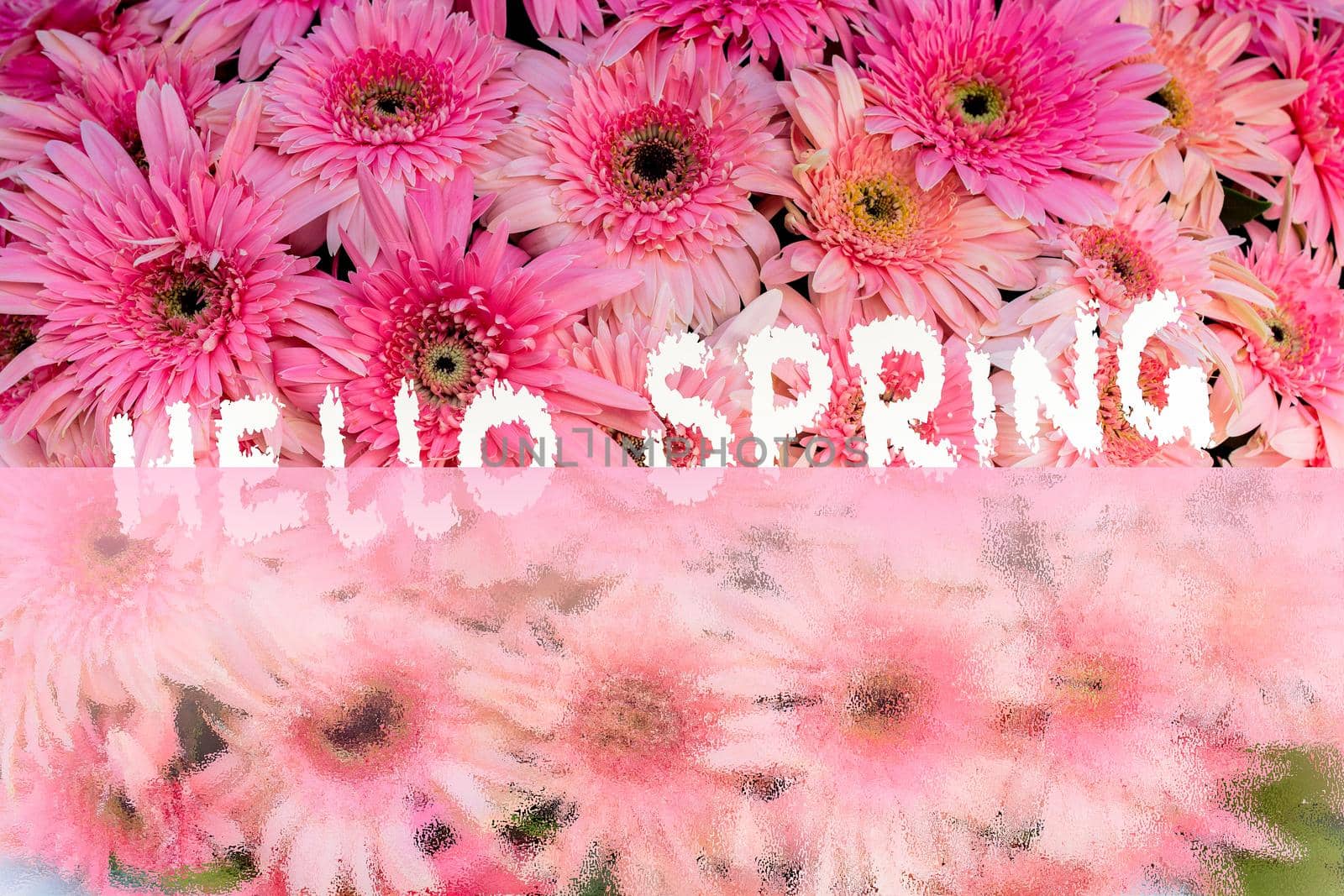 Beautiful fresh flowers background and Hello Spring wording
