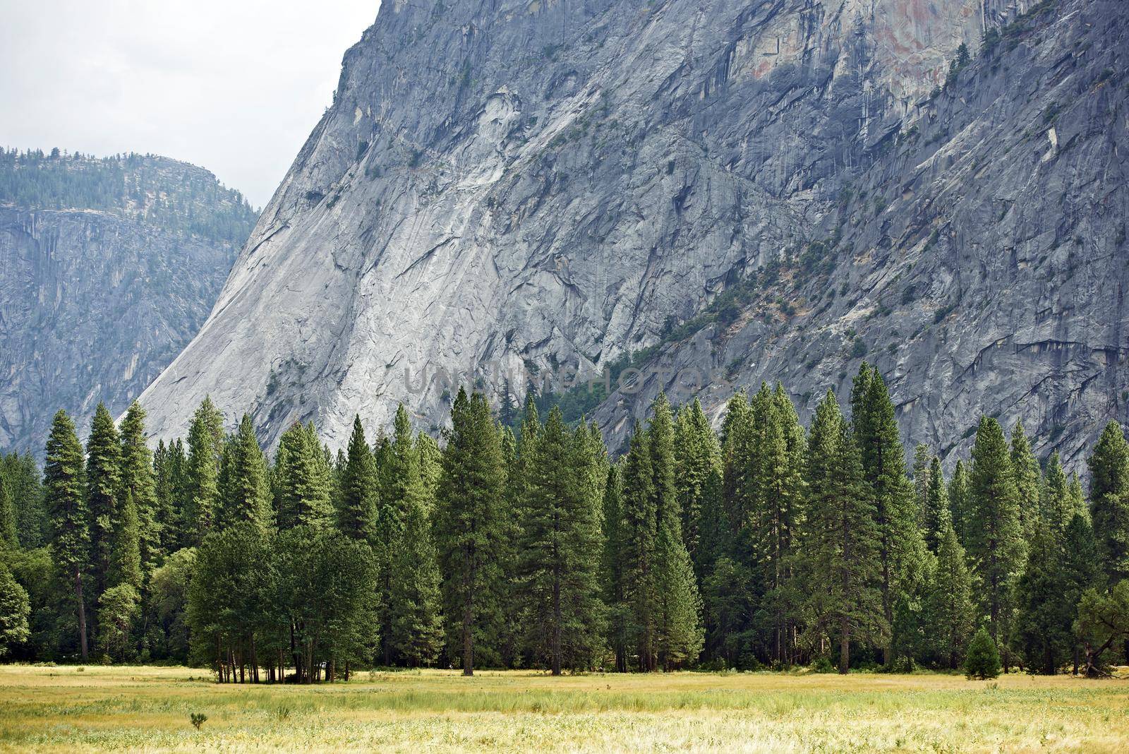 Yosemite Valley Meadow. Yosemite National Park, California, USA. American National Parks Photography Collection.