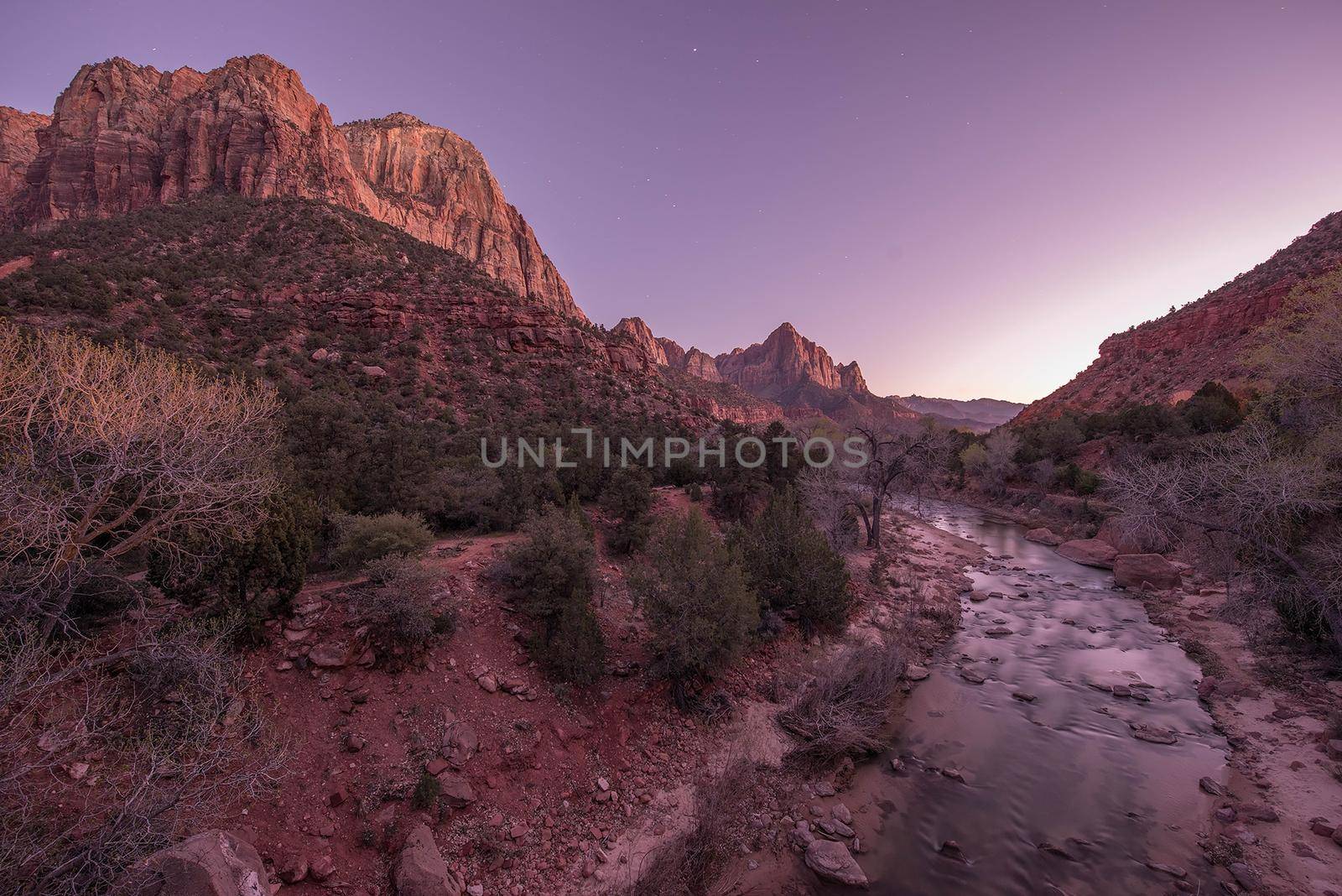 Virgin River in Zion National Park. Zion Landscape at Dusk. Springdale, Utah, United States. by welcomia