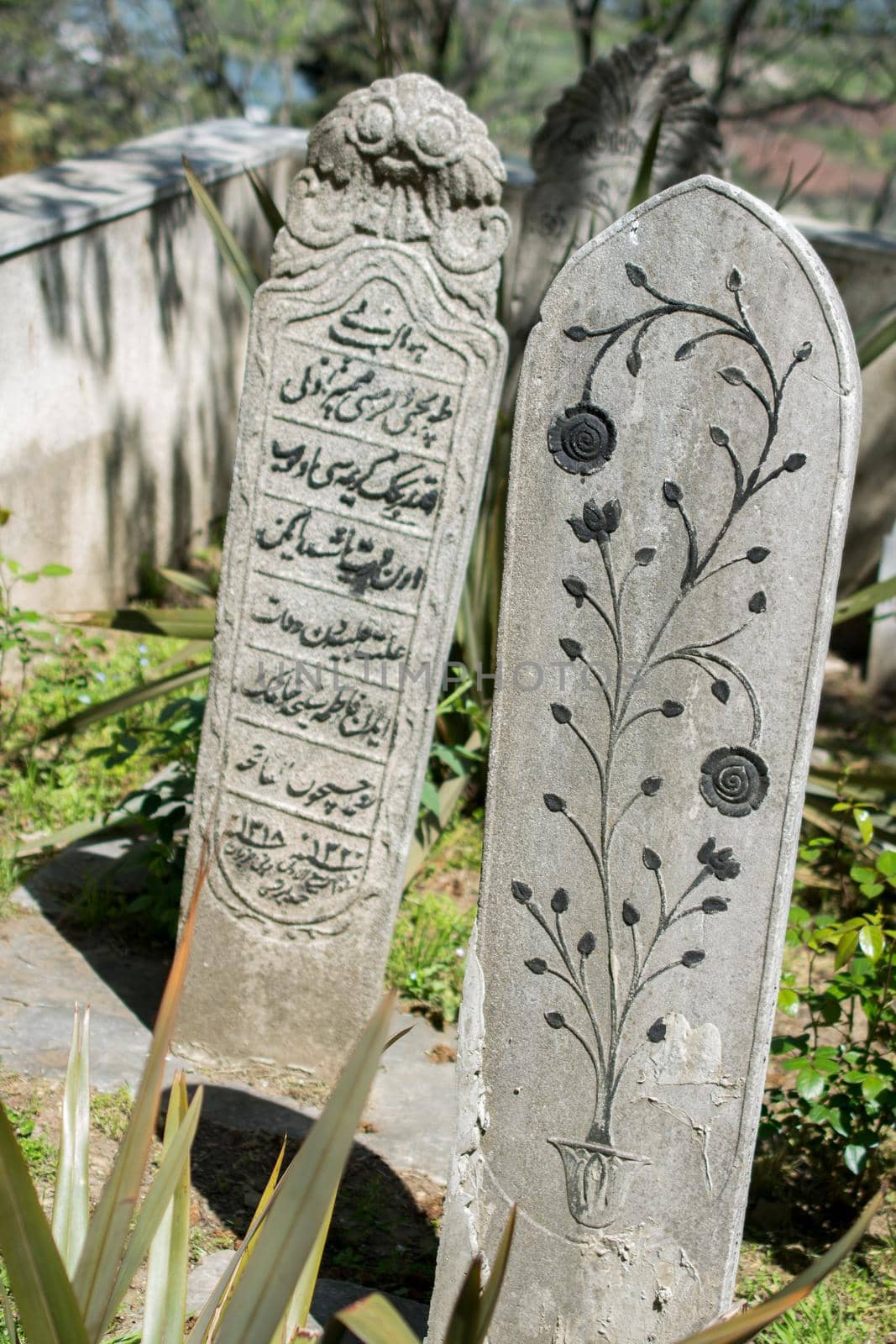 Old stone on the graves in Istanbul by berkay