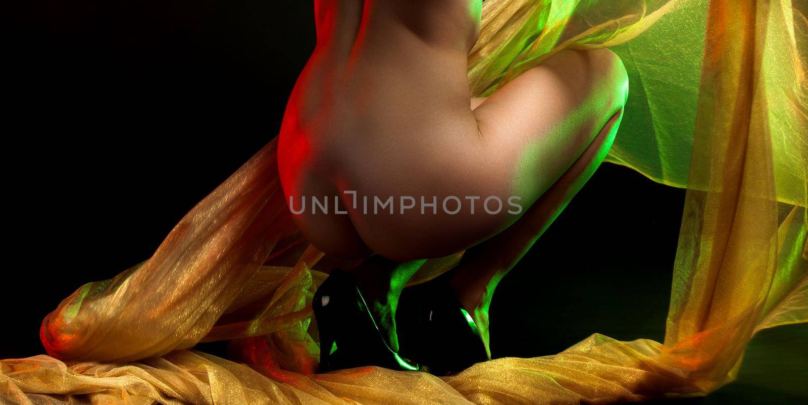 Nude woman posing in studio with a golden shawl by palinchak