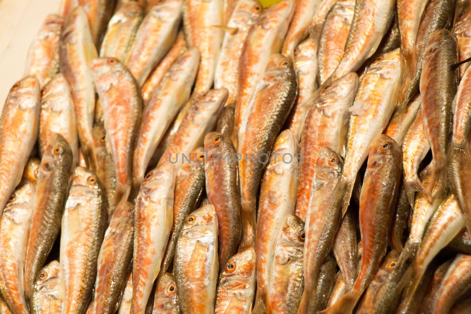 Fresh for sale at  fish market by berkay