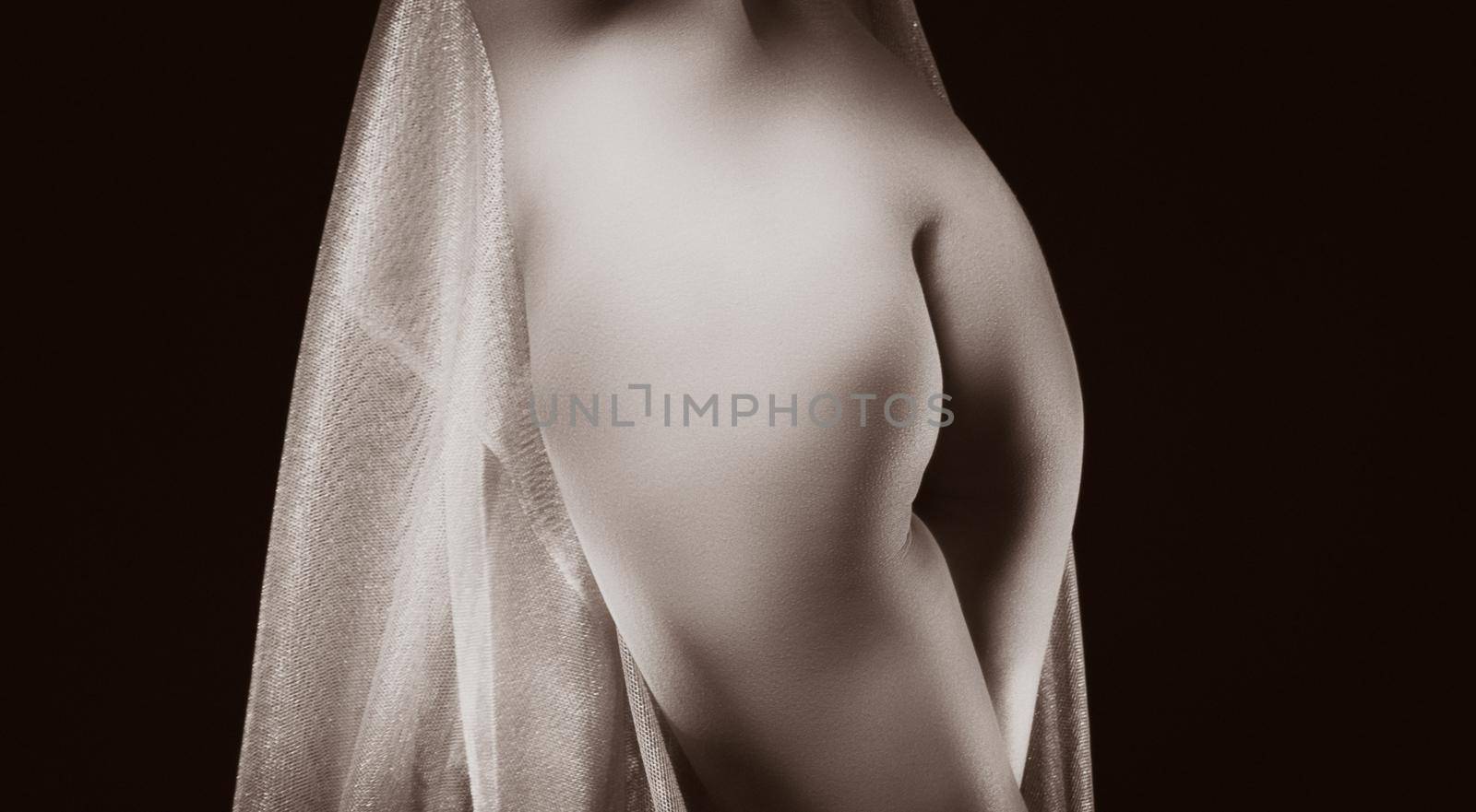 Nude woman posing in studio with a golden shawl by palinchak