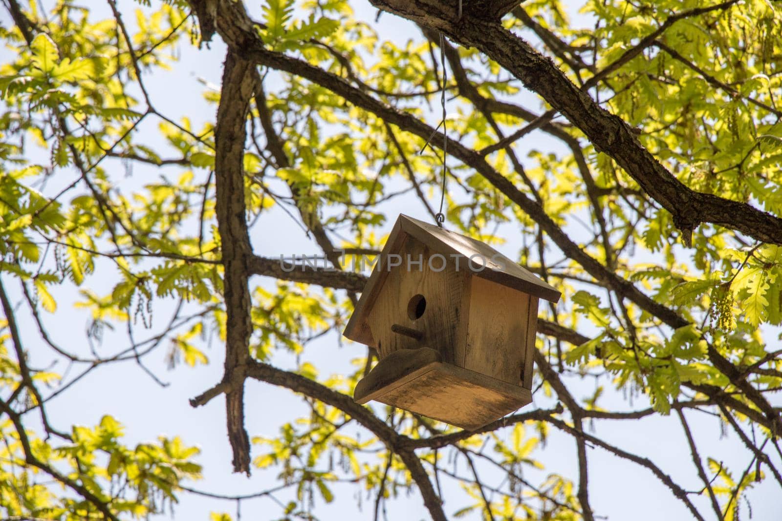Bird house made of wood in view