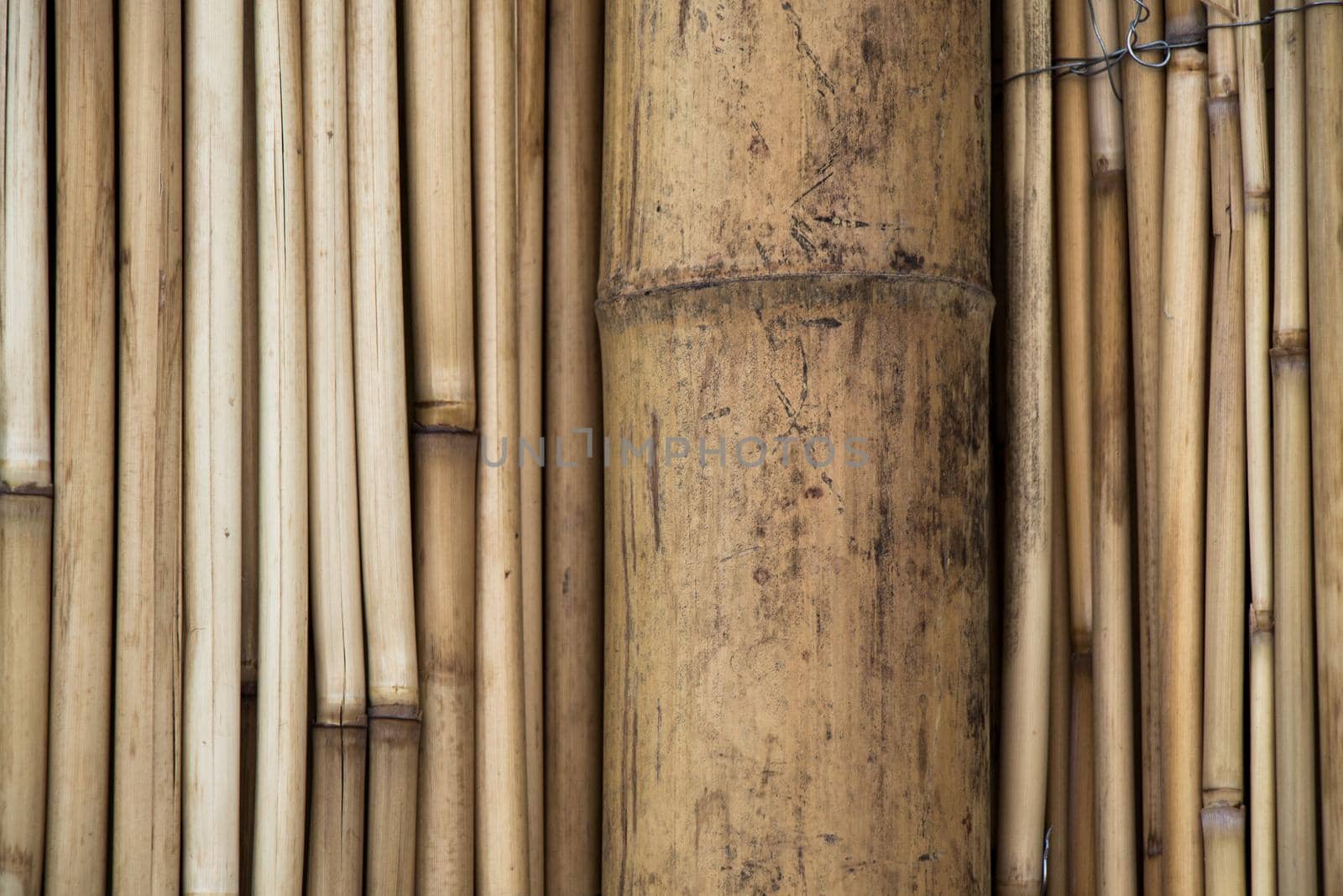 Bamboo sticks in stacks in view