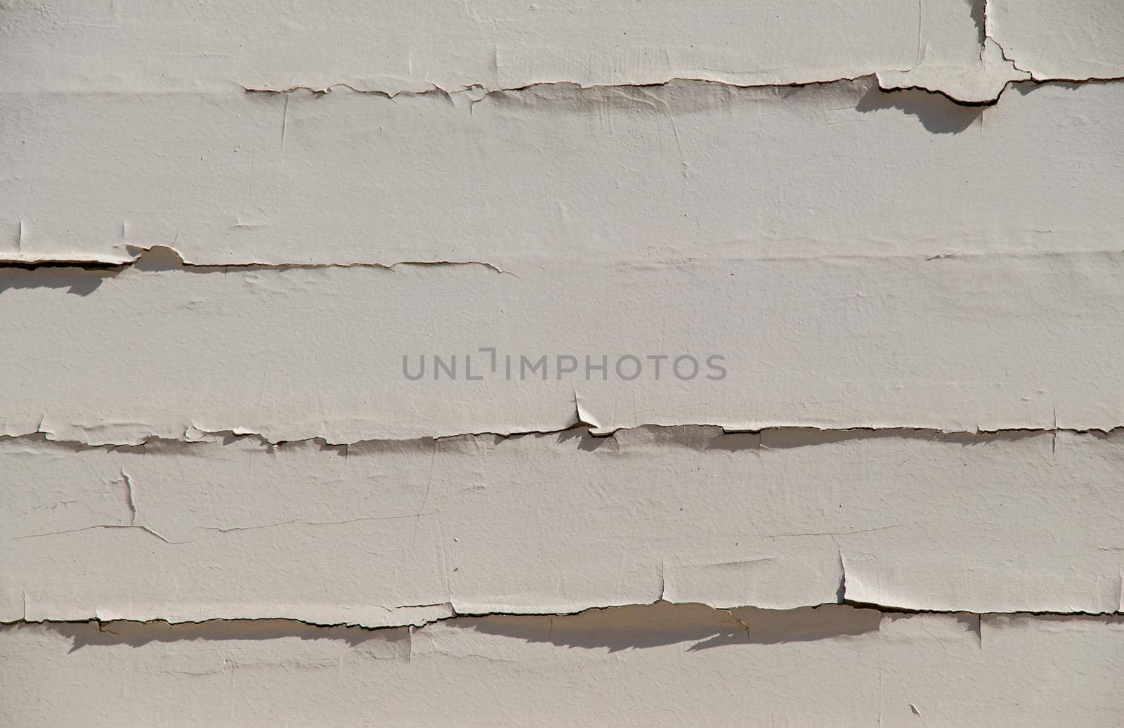 Texture details of an old wooden plunks as background