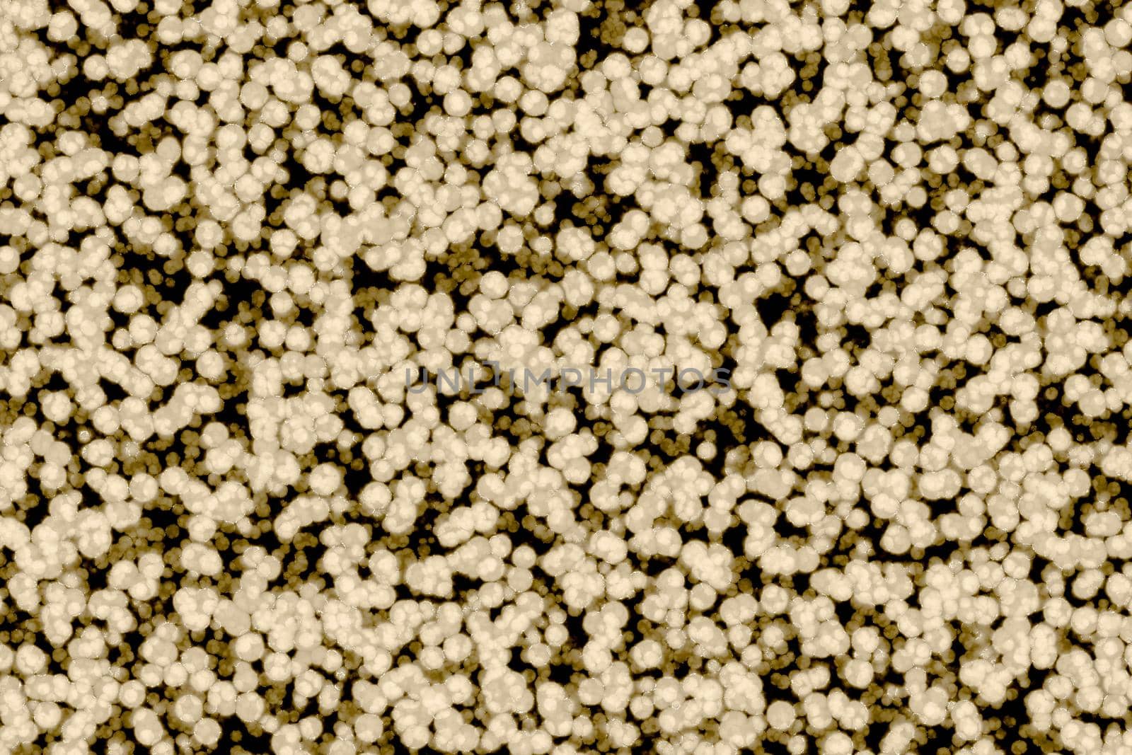 Shape of bacterial cell: cocci, bacilli, spirilla bacteria background