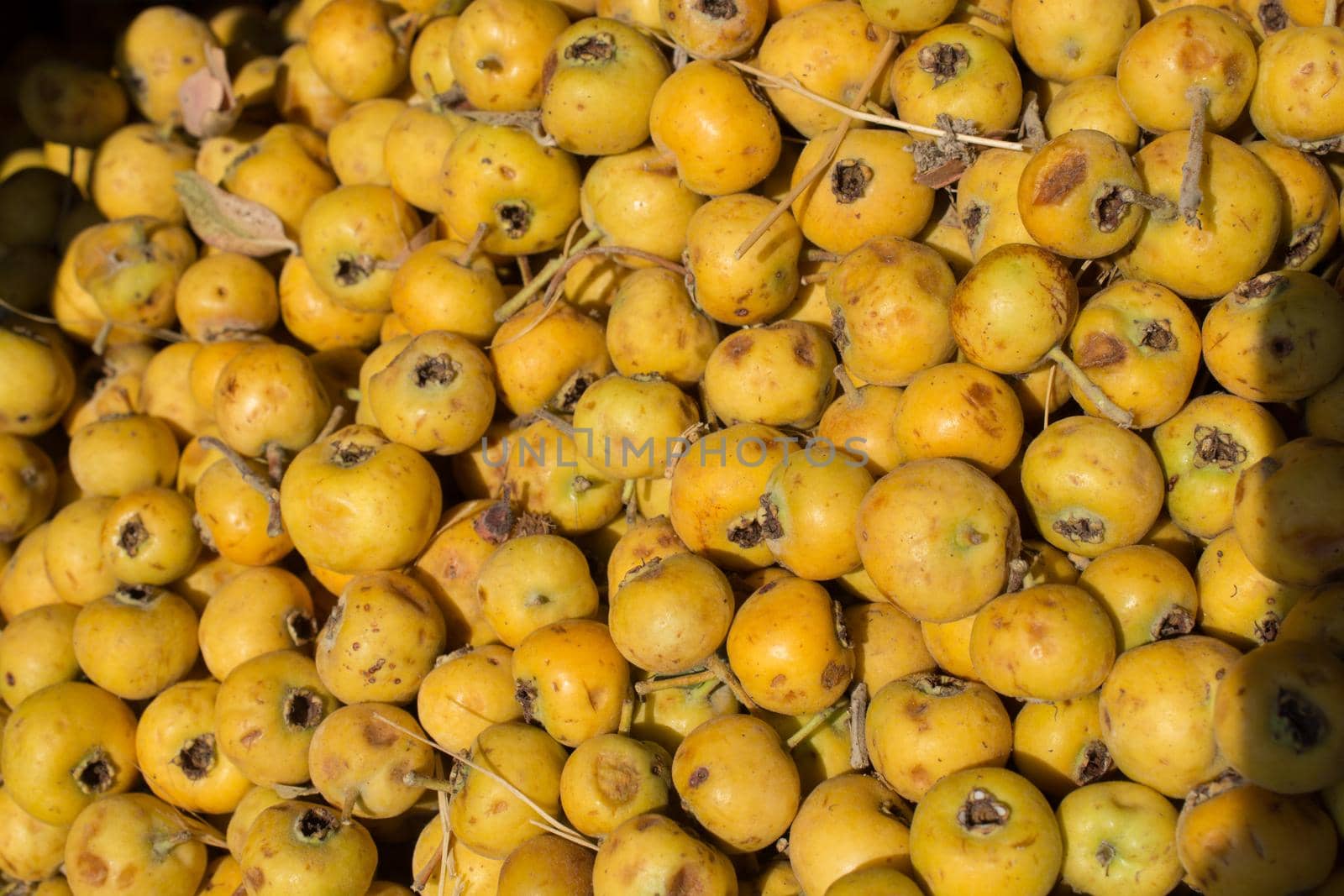 Azarole, mediterranean medlar  picked up and sold in market