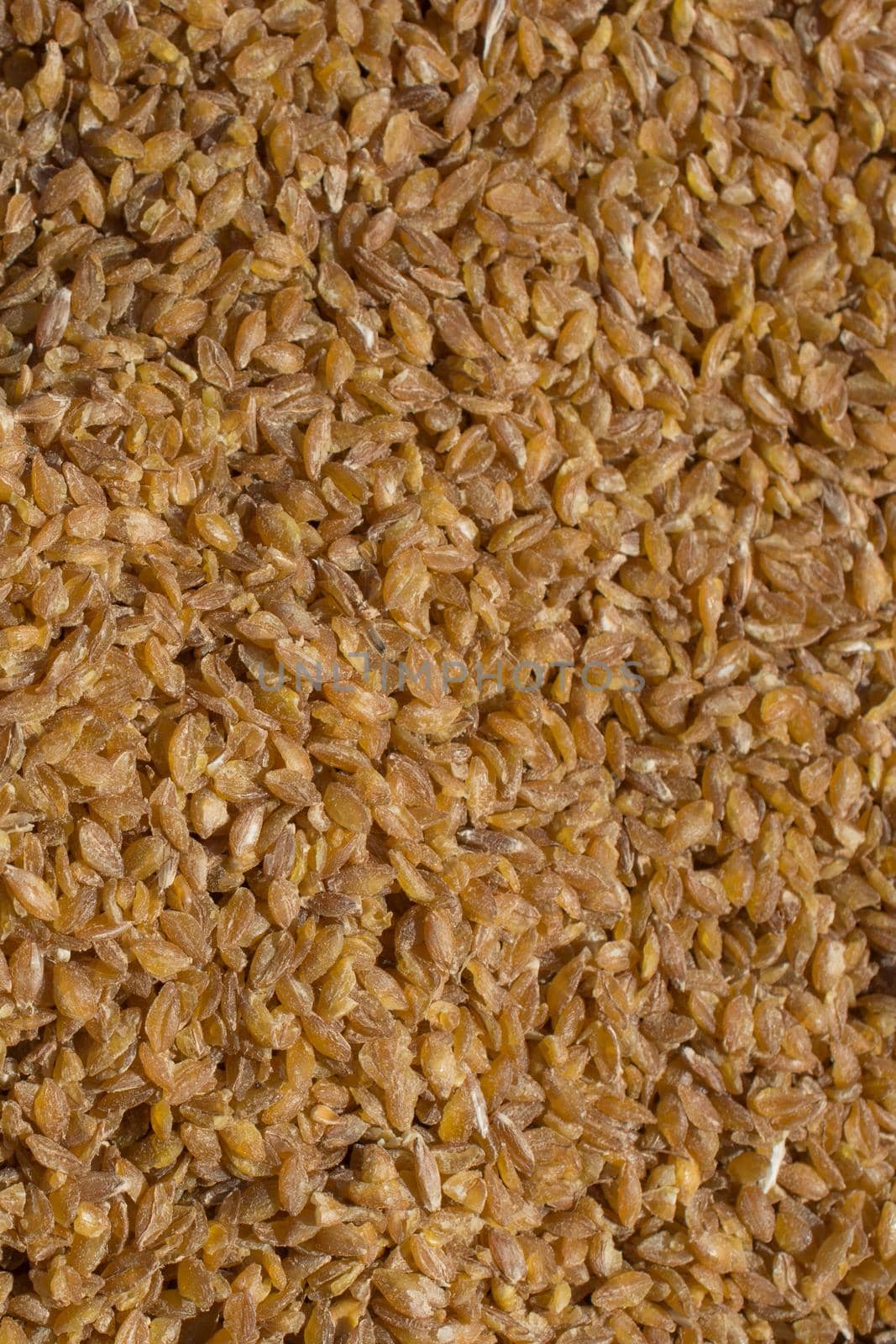 Hundreds of brown barley grains on display by berkay