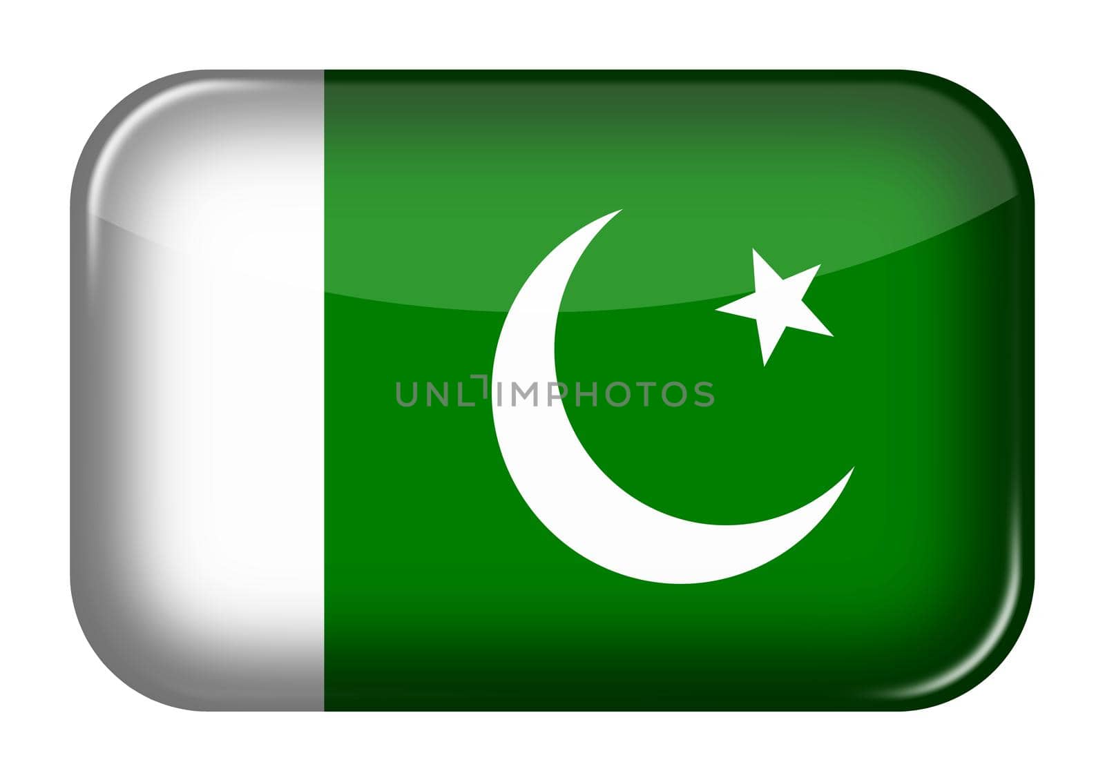 A Pakistan web icon rectangle button with clipping path 3d illustration