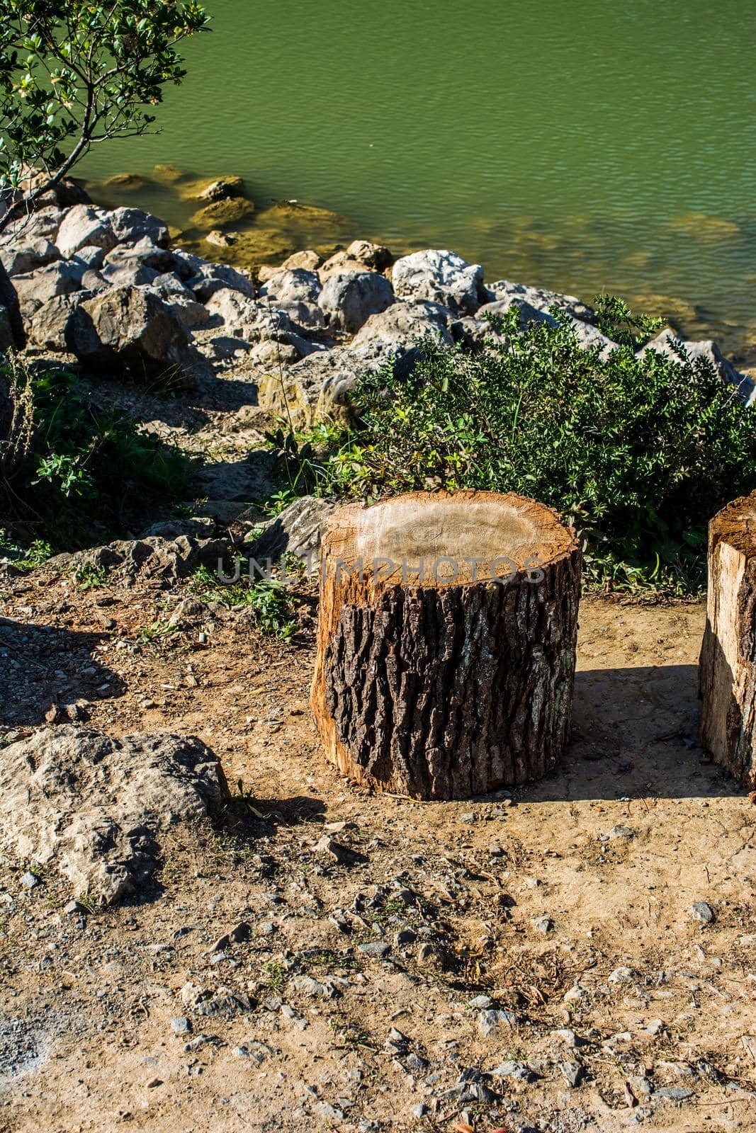 Small piece of cut wood logs  by berkay