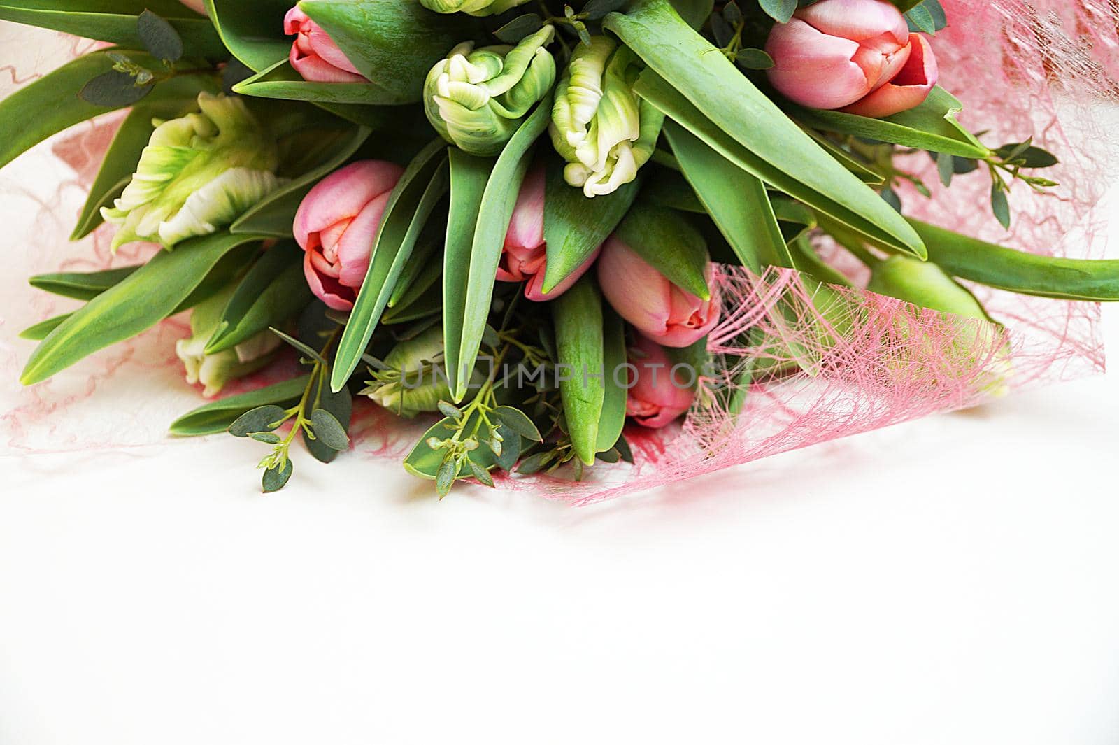 delicate bouquet of white and pink tulips on a white background, copy space