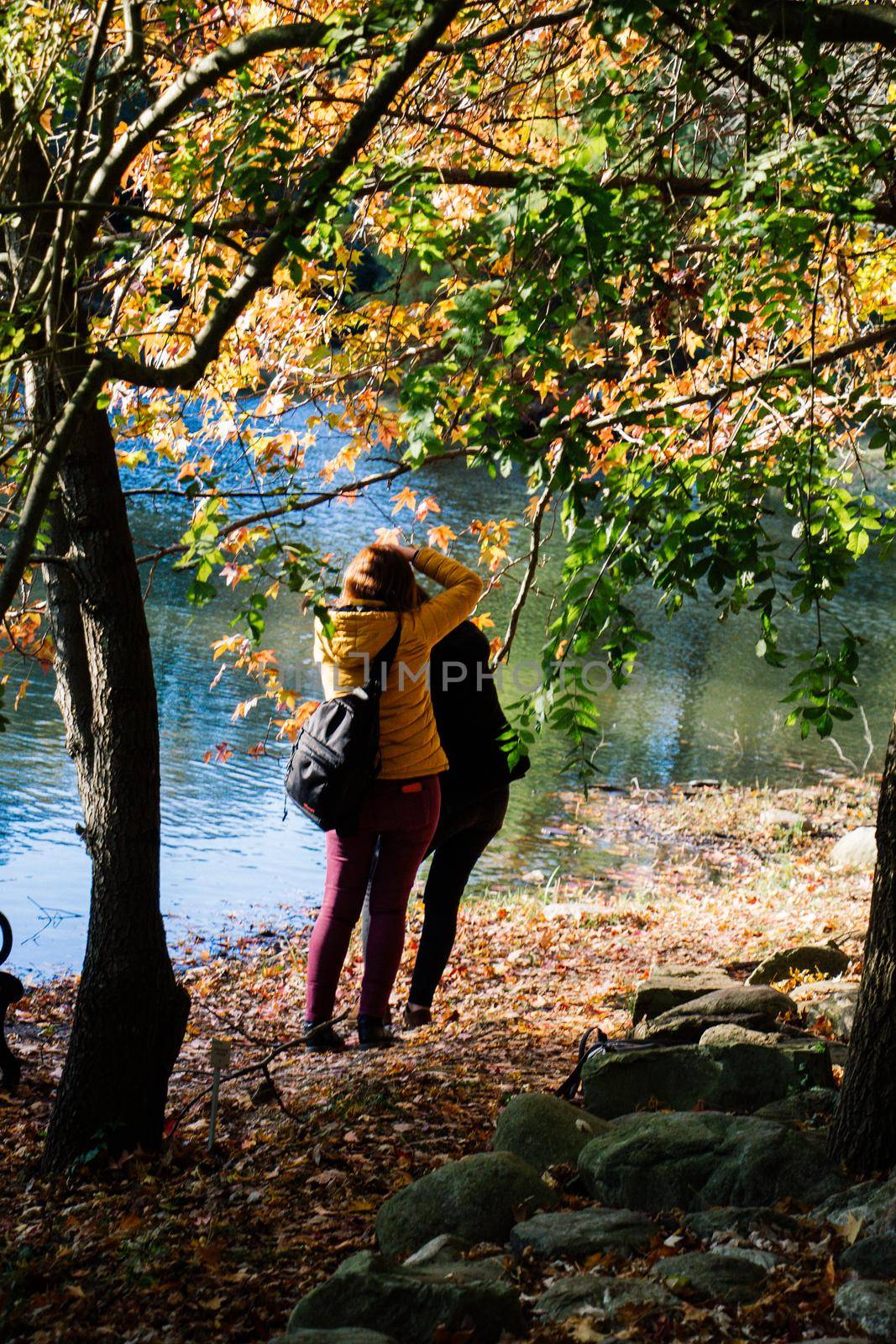 Young girls in nature in Autumn season by berkay