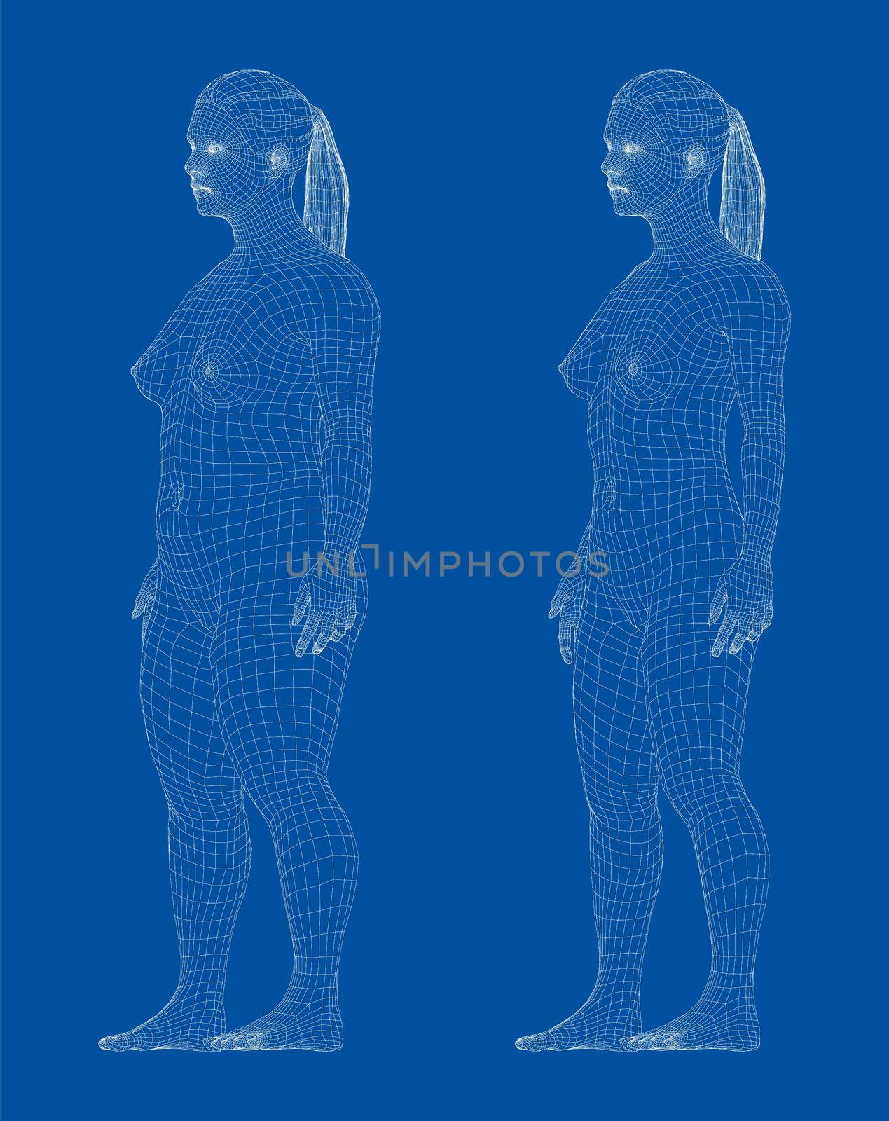 Fat and slim woman, before and after weight loss. 3d illustration