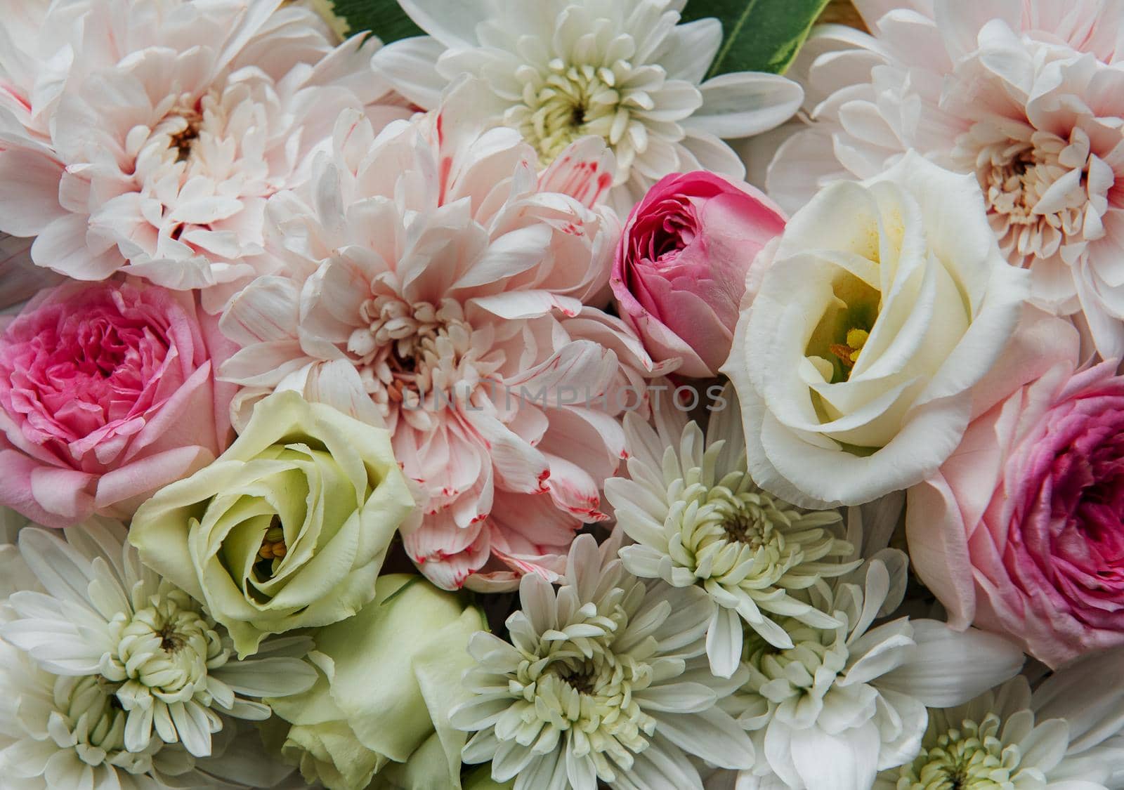 Pastel pink and white flowers background, top view.