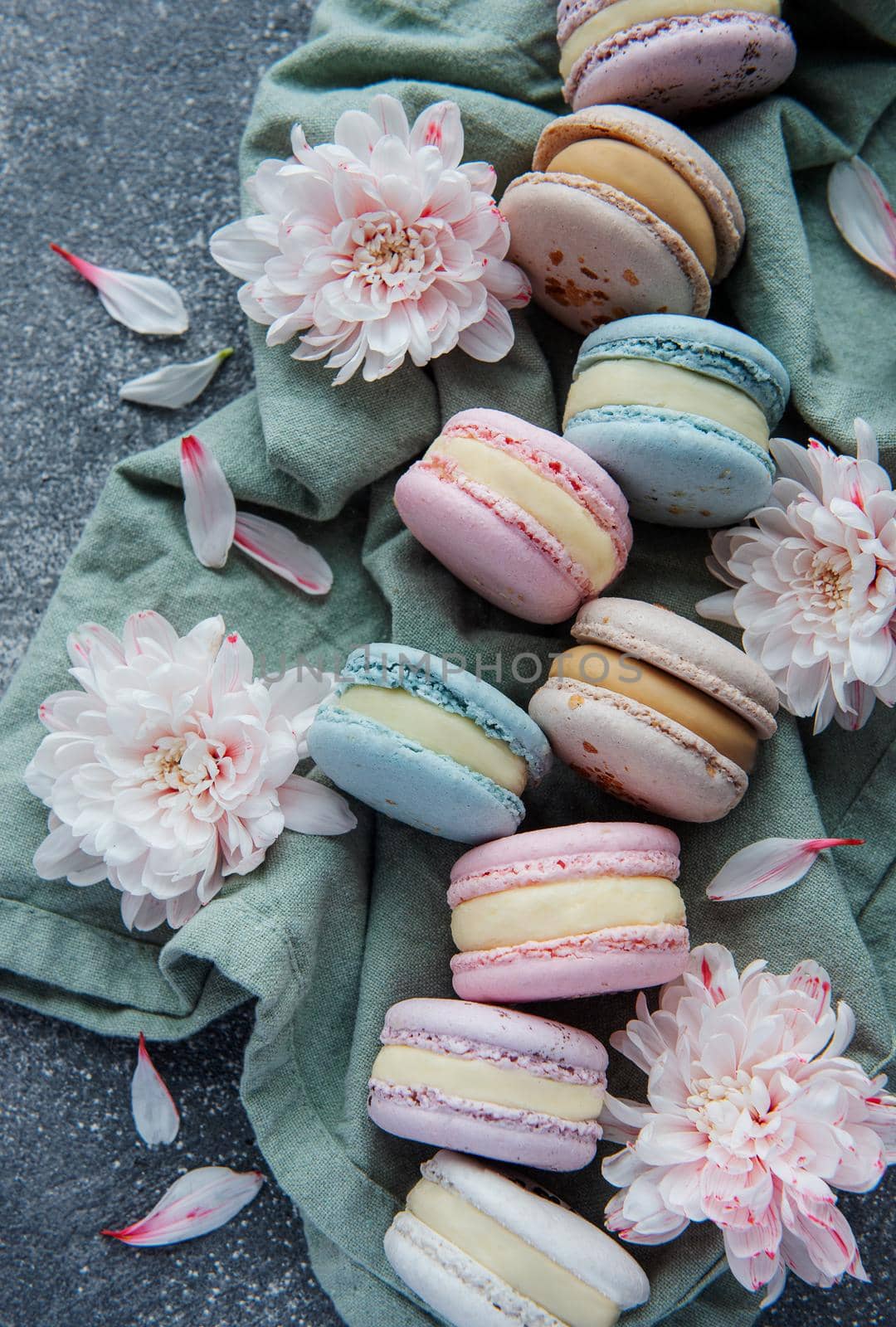 Beautiful colorful tasty macaroons and white flowers on a concrete background