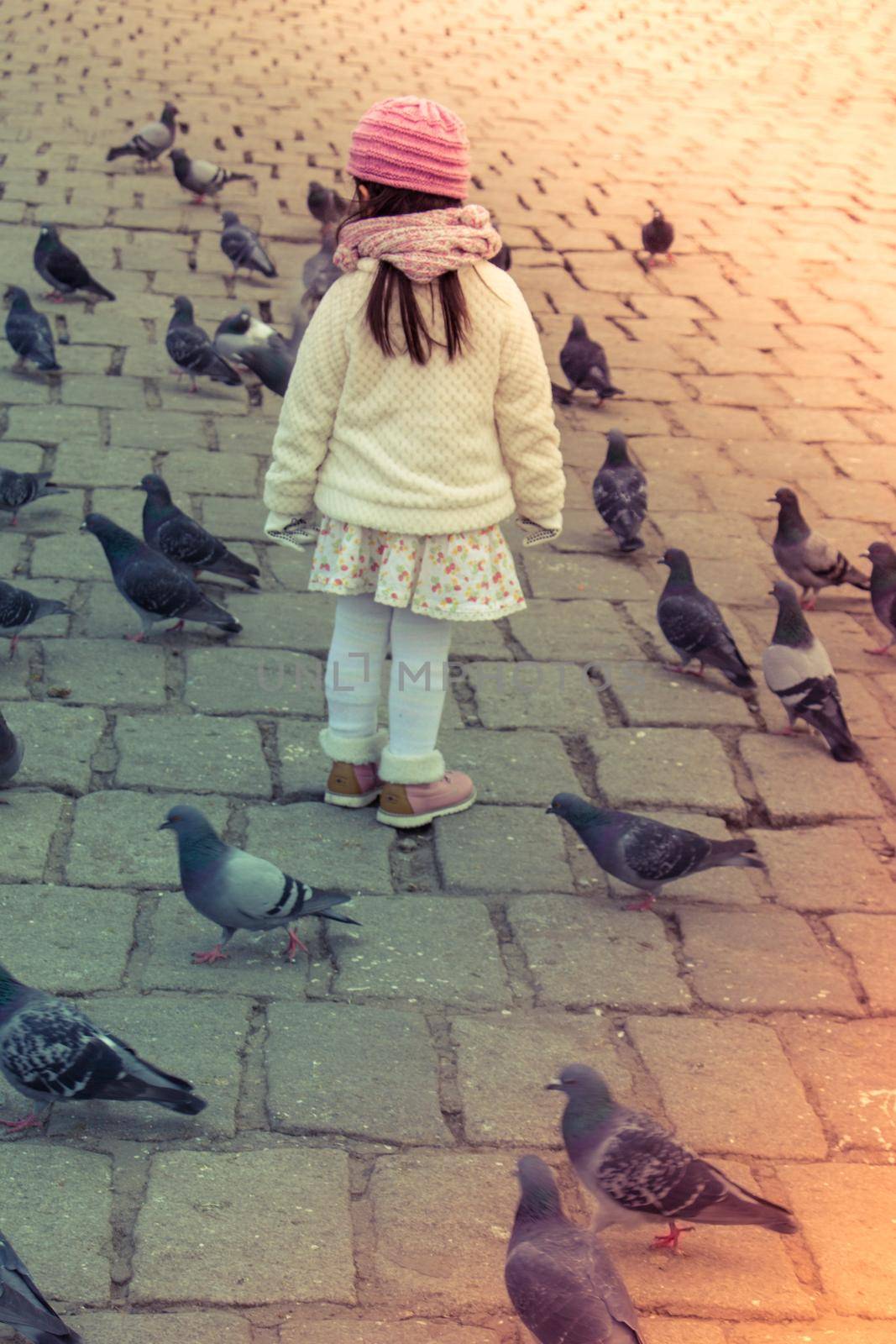 Little girl amid grey pigeons live in large groups in urban  by berkay