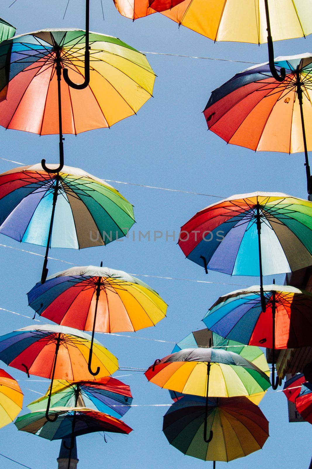 Colored umbrellas hanging above the street by berkay