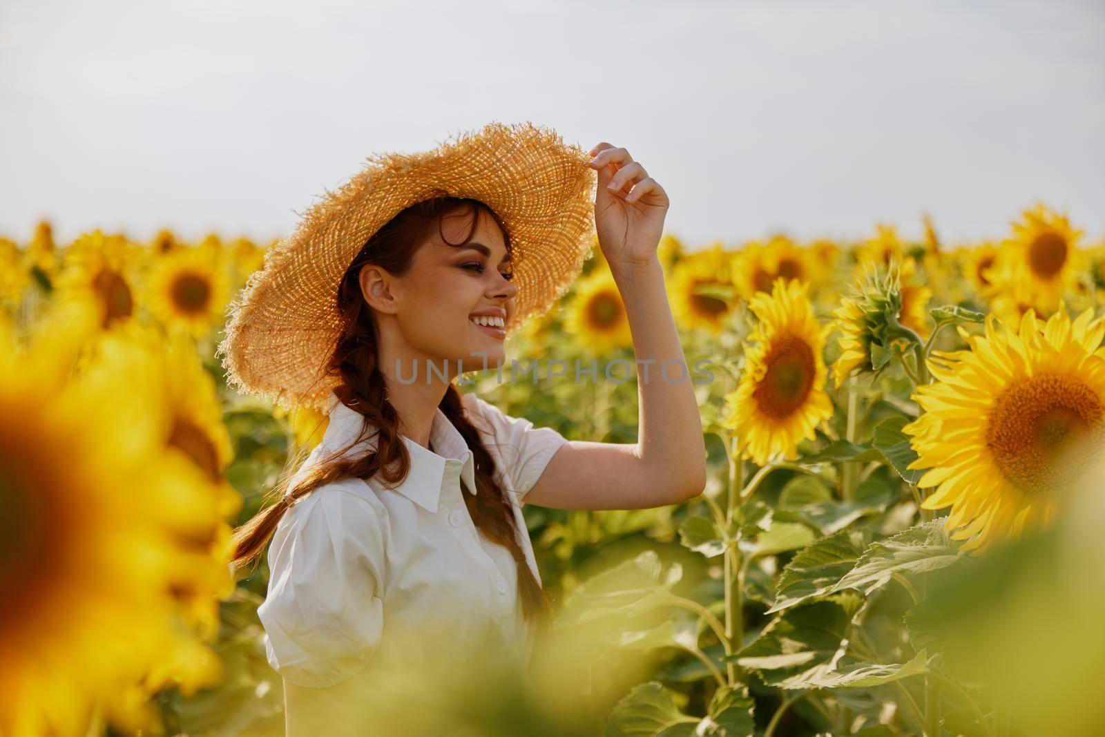 woman portrait in a white dress walking on a field of sunflowers unaltered. High quality photo