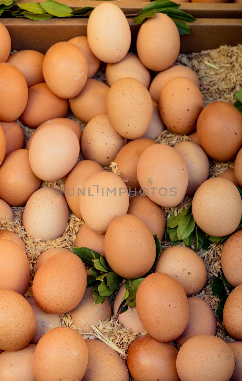 Organic fresh farm eggs at the market by berkay